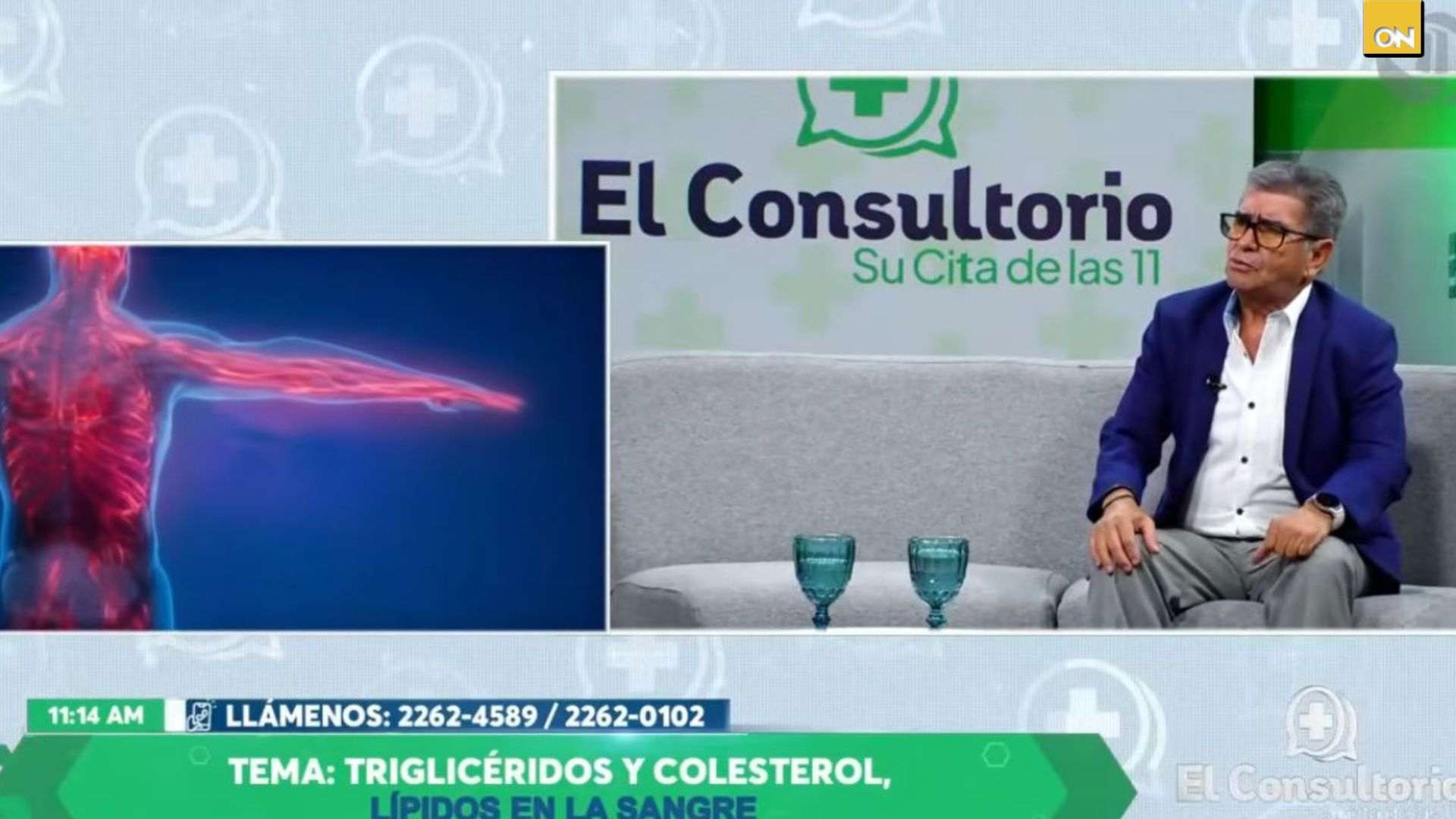 triglicéridos y lípidos en la sangre.