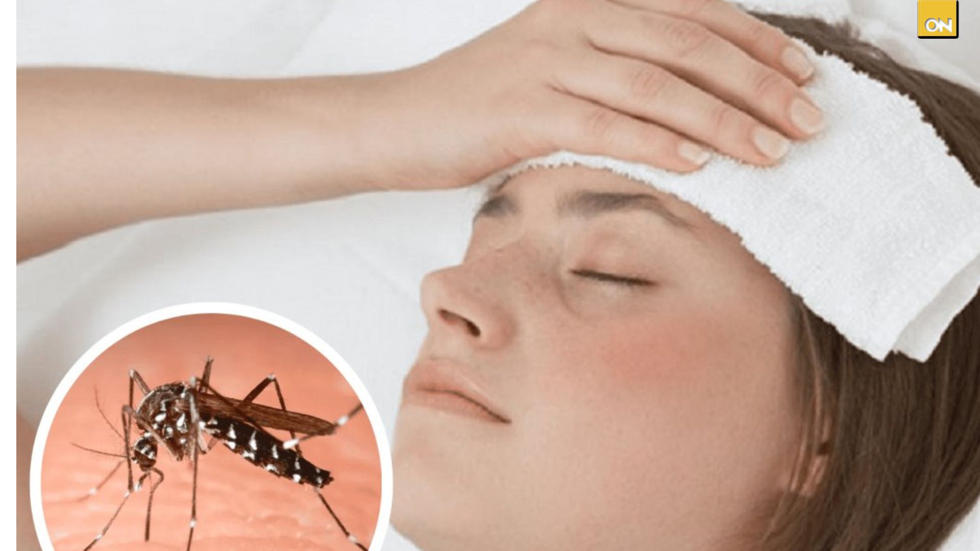 El Consultorio del Once: Fiebre alta y dolor intenso señales de que puedes tener dengue