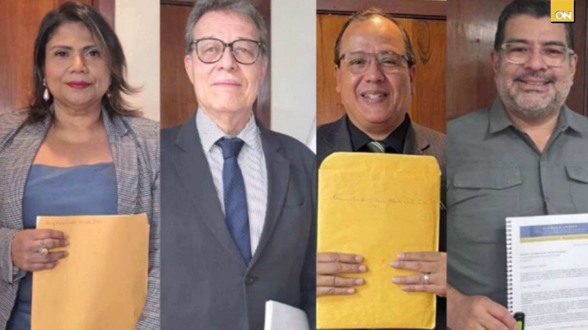 Más de 100 aspirantes buscan integrar el CNE y TJE en Honduras: ¿quiénes son?