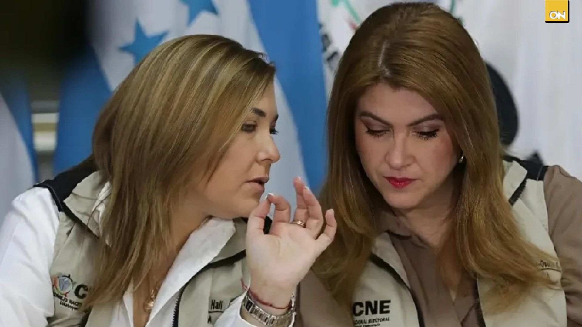 Trasciende posible licencia de consejeras del CNE para servicio exterior