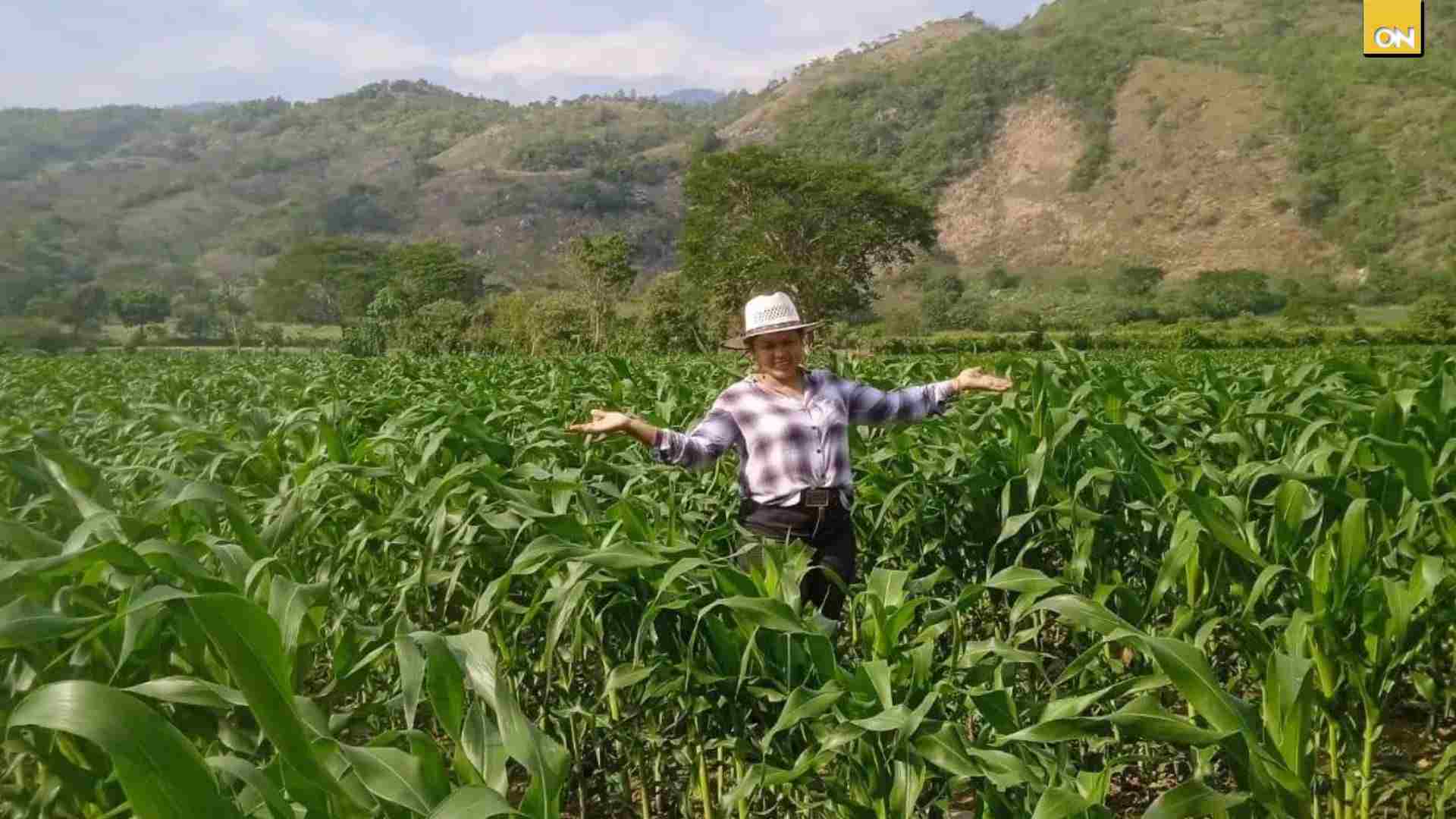 Préstamos de BANADESA: así pueden beneficiarse los productores agrícolas en Honduras