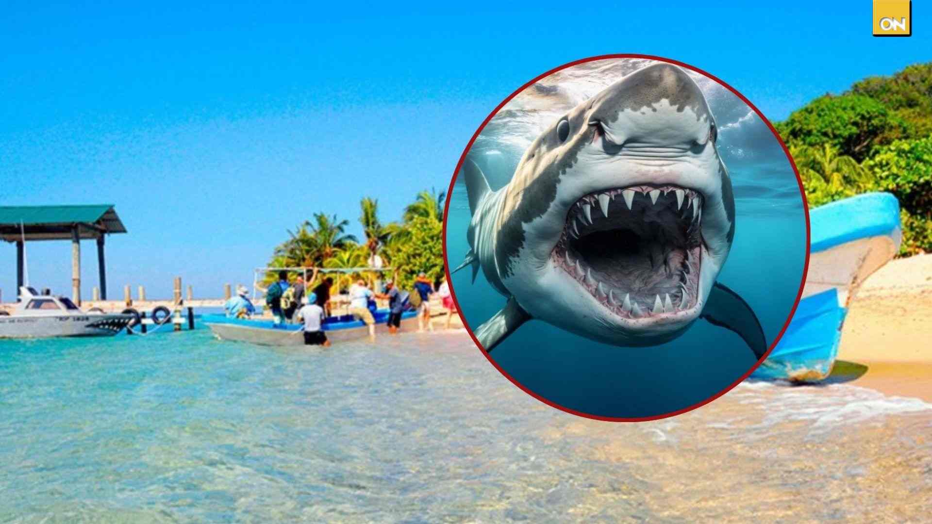 ¿En qué playas de Honduras han captado tiburones?