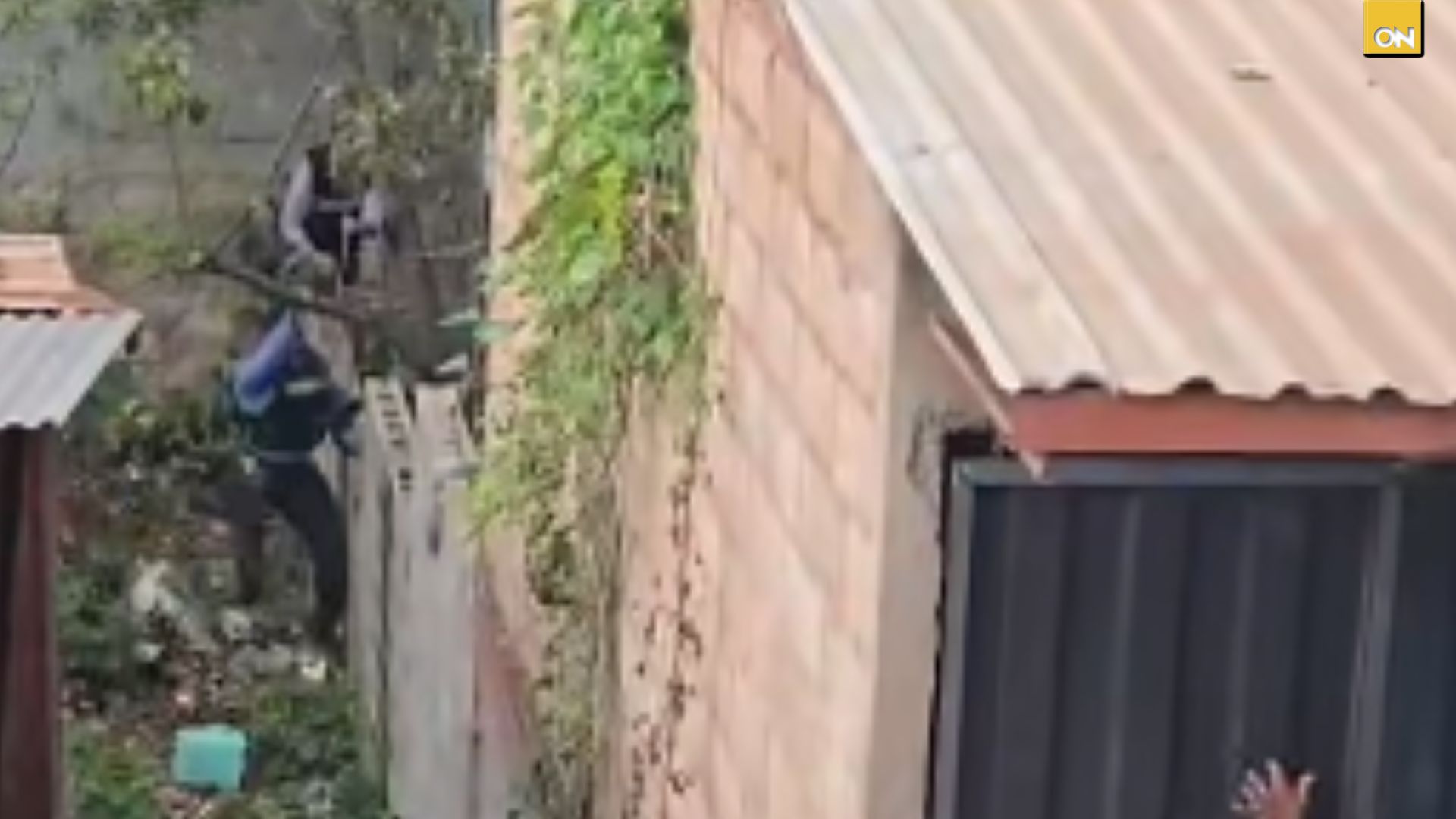 Difunden video del operativo que terminó con la captura de sospechoso por muerte de mujer en La Era