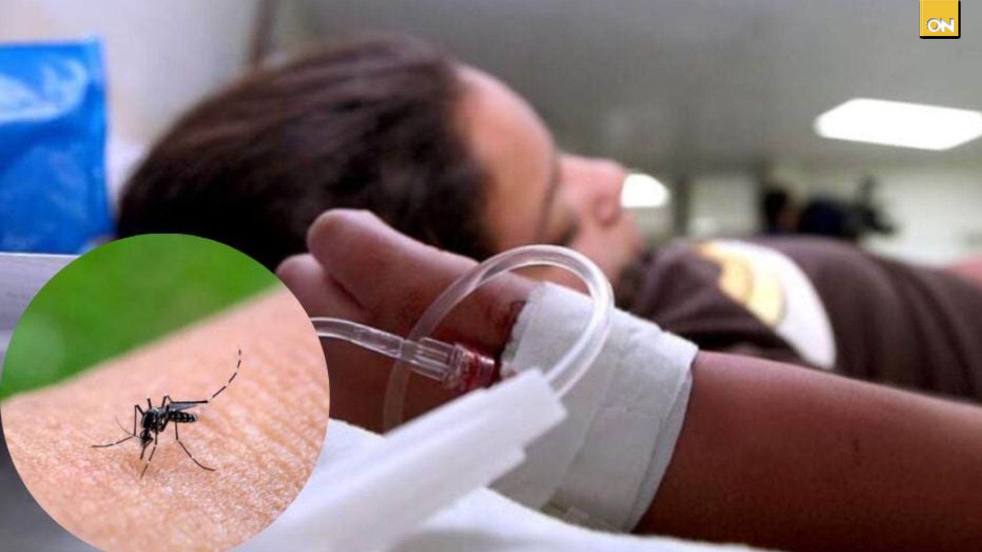 Más de 228 casos de dengue preocupan a autoridades sanitarias en el sur del país