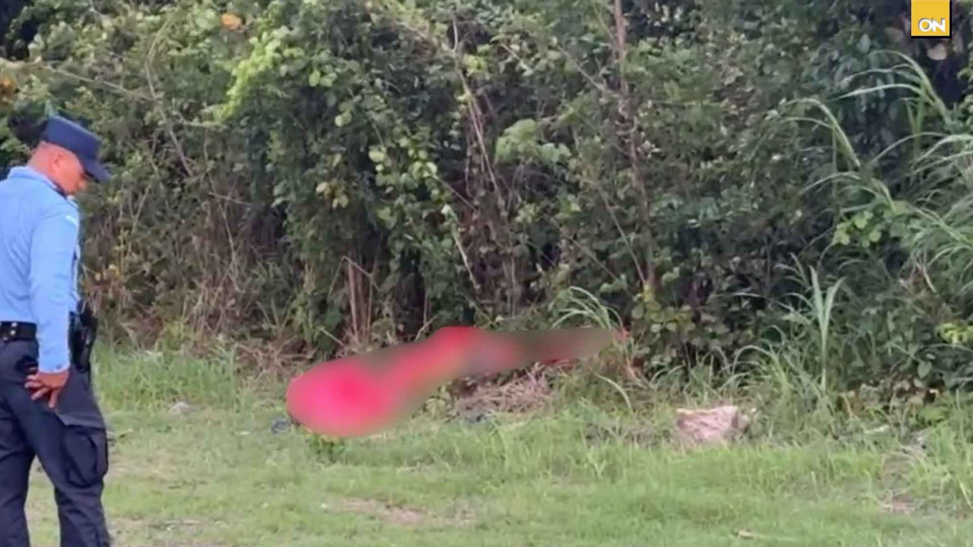Hallan dos personas sin vida en la orilla de la carretera en Potrerillos, Cortés