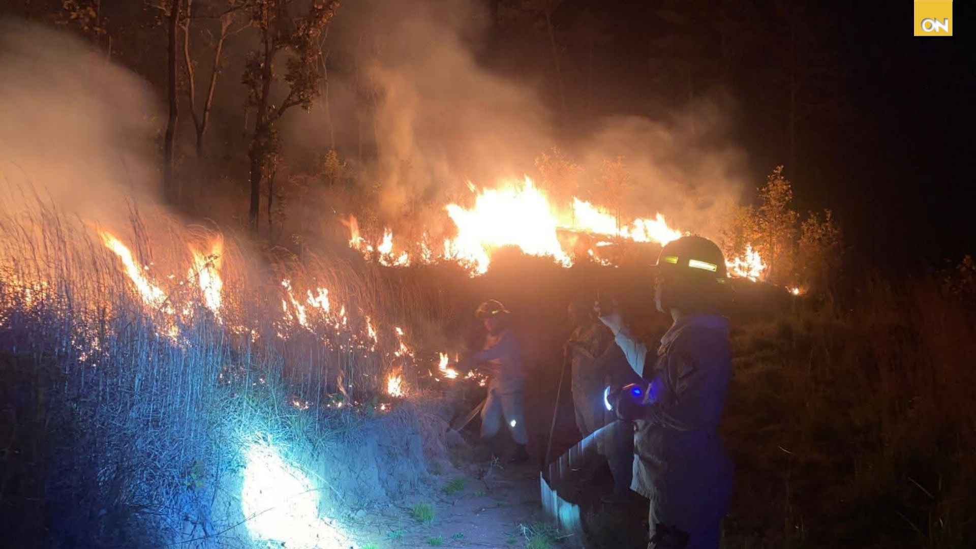 Incendio forestal en temporada seca afecta la aldea Los Pitos, Santa Lucía, Francisco Morazán