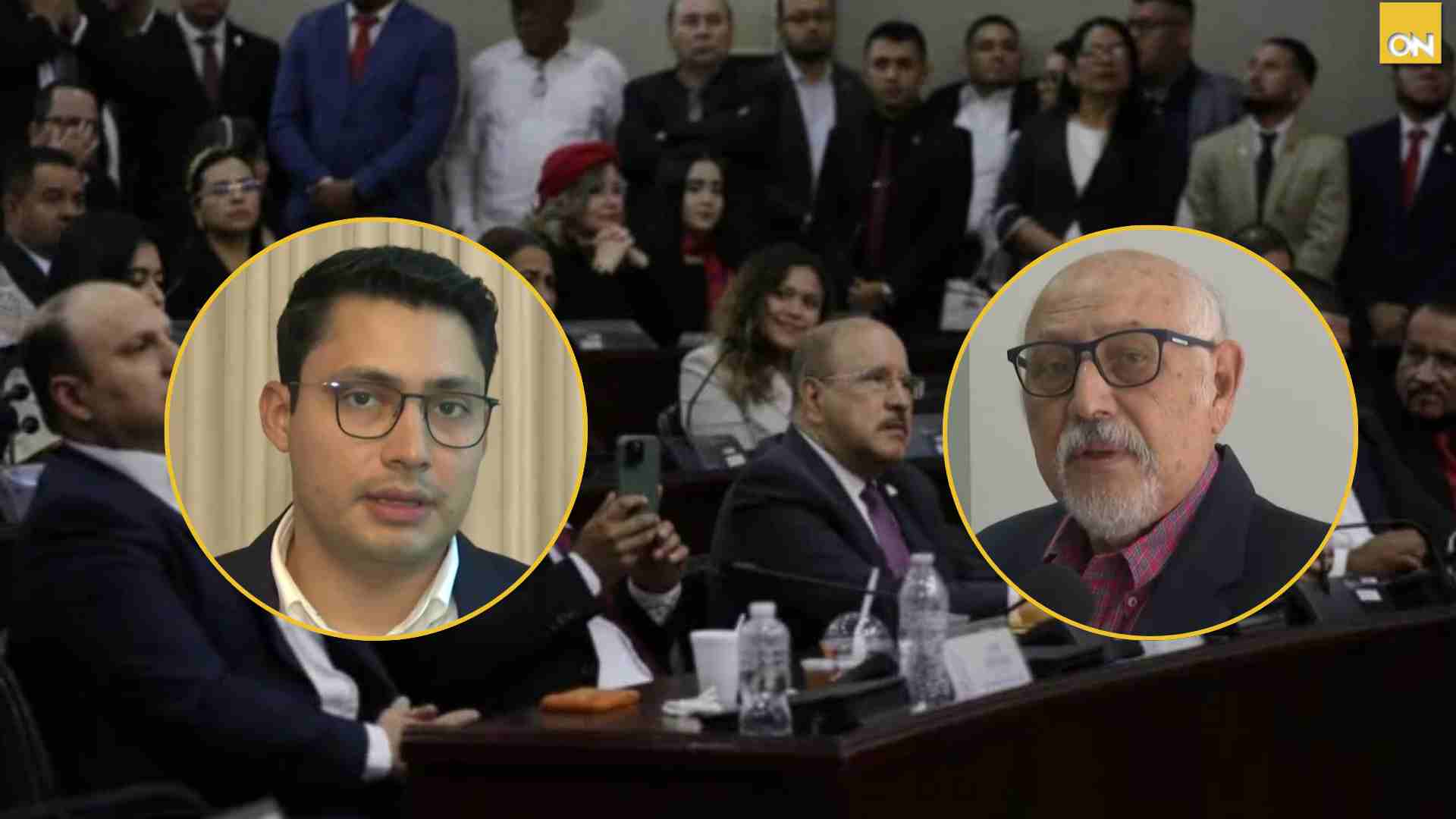 Libre órganos electorales