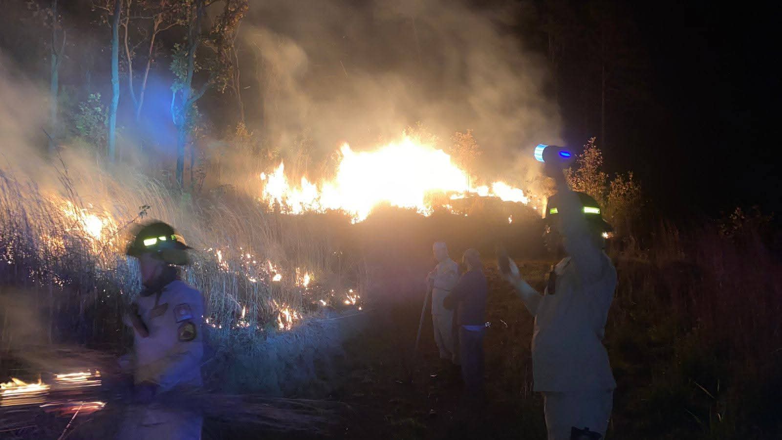 incendio forestal en Los Pitos, Santa Lucía