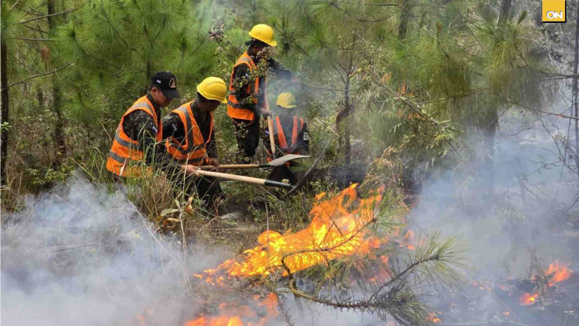 Autoridades reportan 30 incendios forestales en lo que va del año