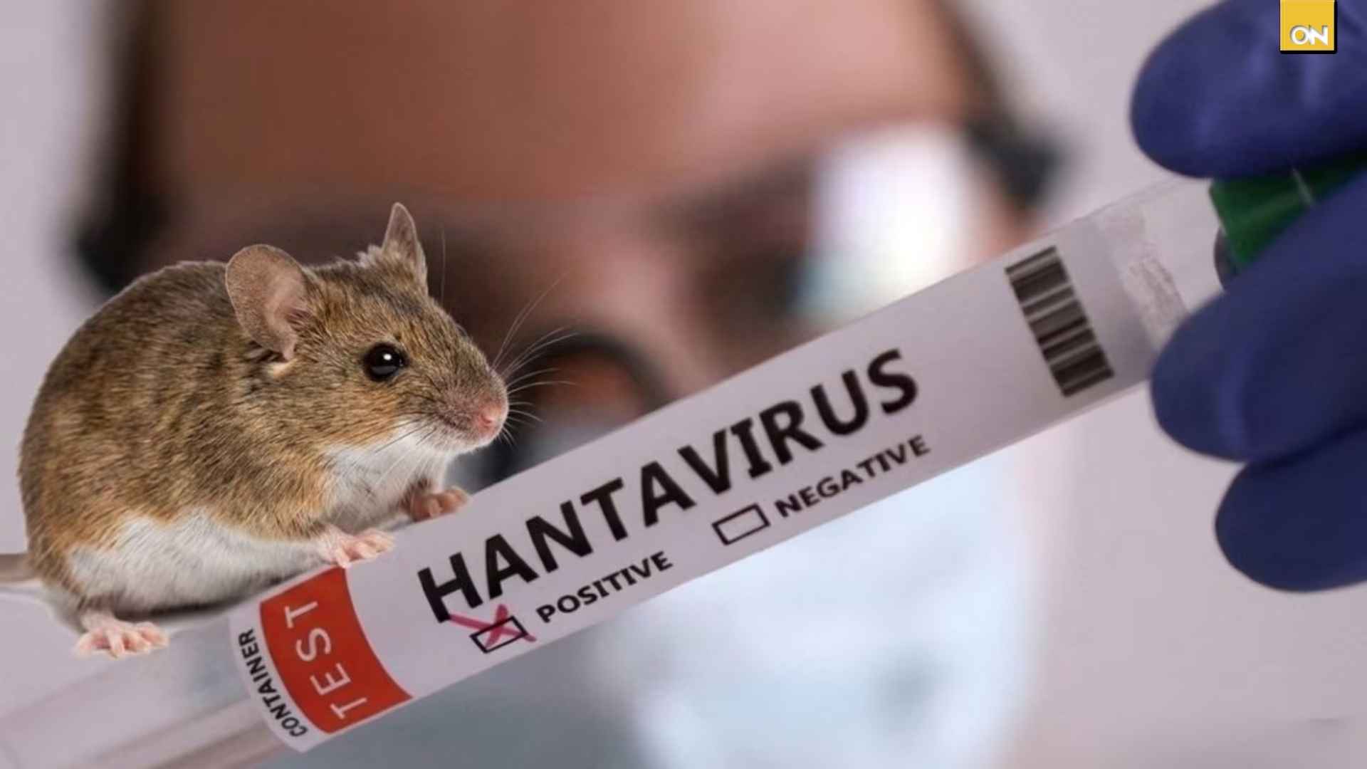 Brote de hantavirus se eleva a más de 440 contagios en al menos 30 países del mundo