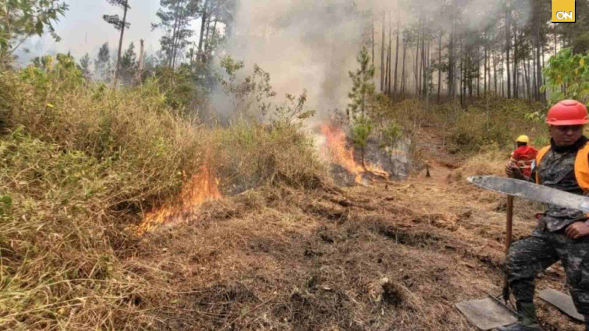 Honduras continúa bajo impacto de incendios forestales y contaminación ambiental