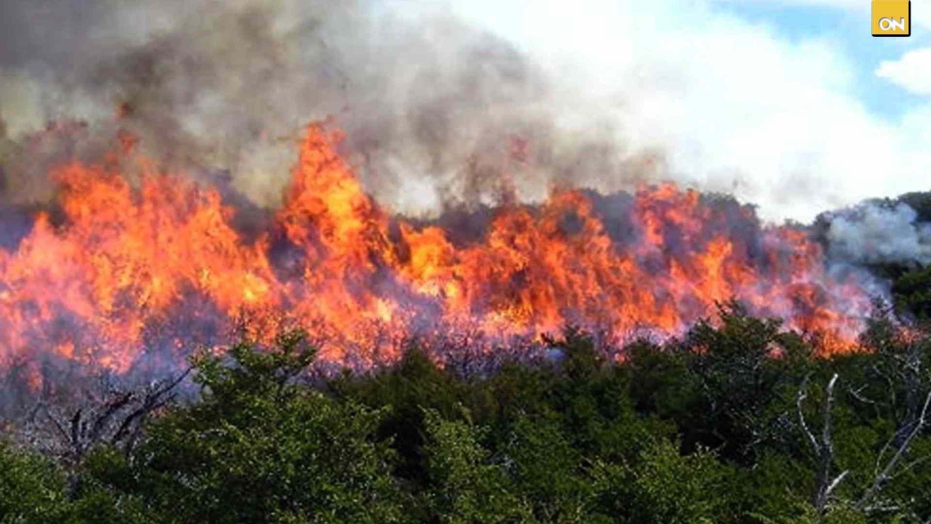 Más de 40 mil hectáreas han sido consumidas por incendios forestales en Honduras