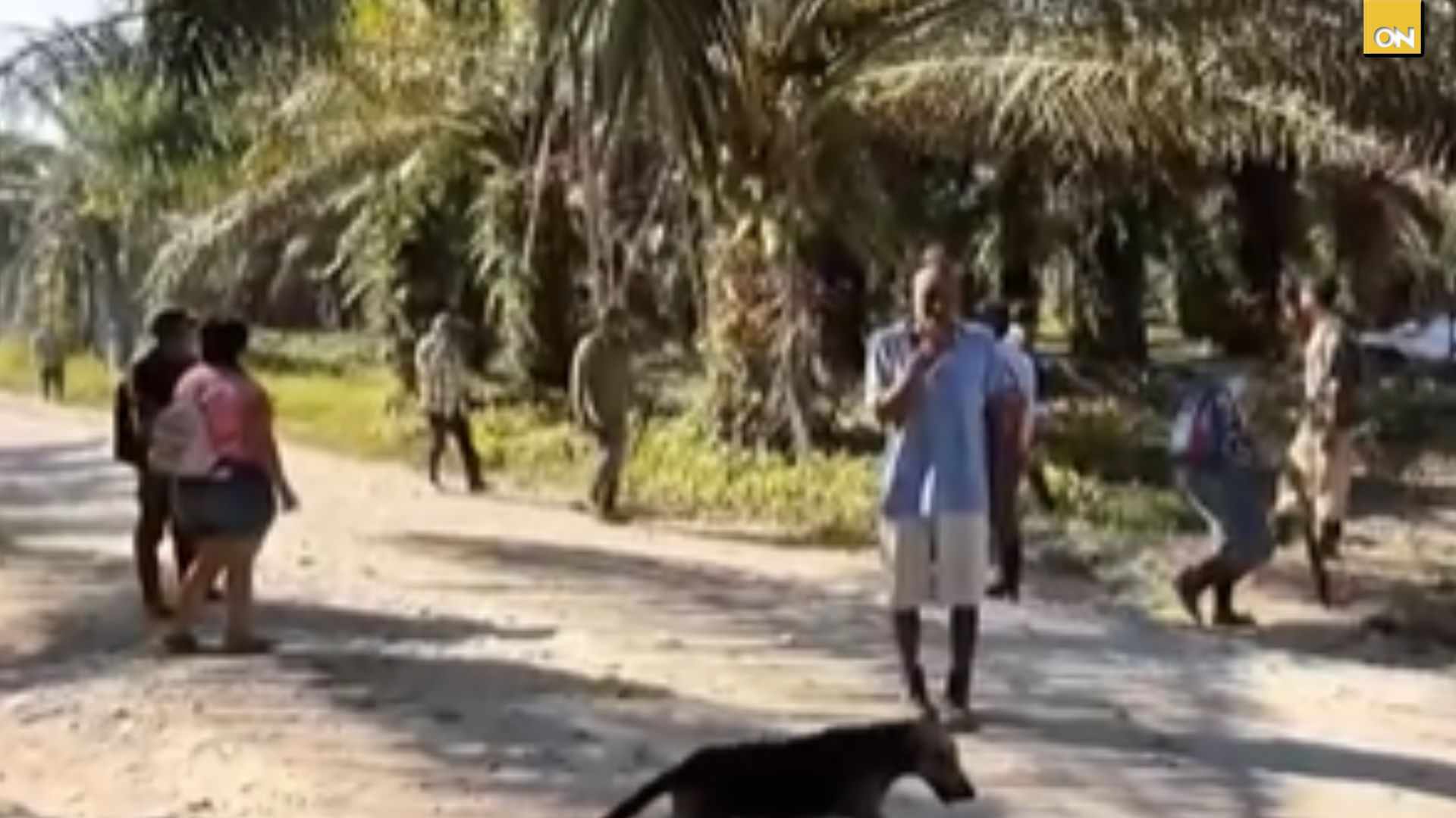 "Tenemos miedo": Salen a la luz últimos videos de víctimas antes de la masacre en Rigores