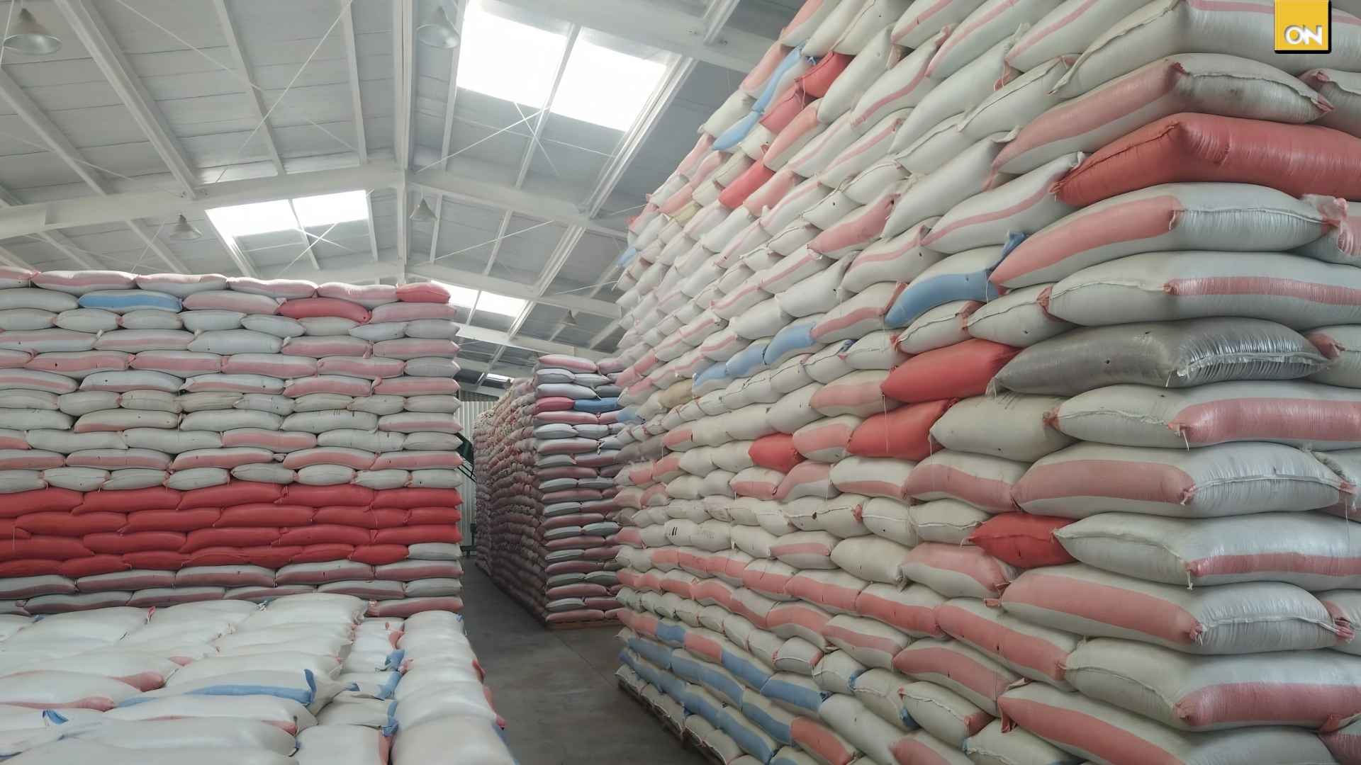 Crisis por frijol almacenado en Honduras: pérdidas millonarias y exigencia de investigaciones