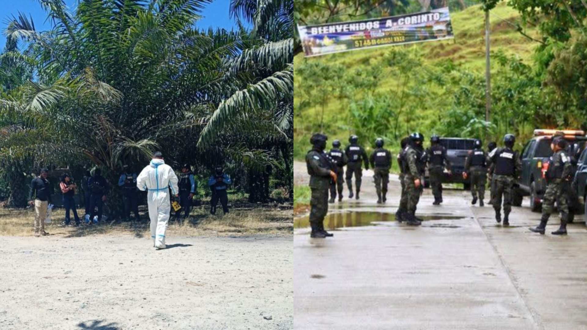 Expertos califican masacres en Honduras como terror criminal