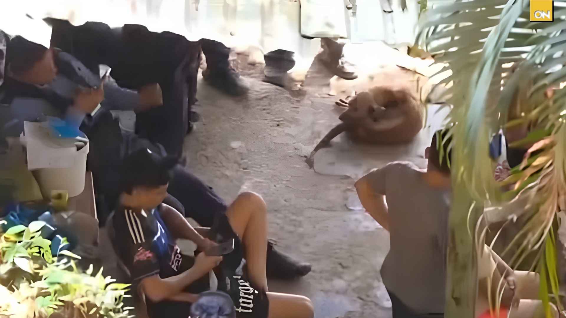 Mujer es encontrada sin vida en su vivienda en El Merendón, SPS; Honduras registra 81 feminicidios en 2026