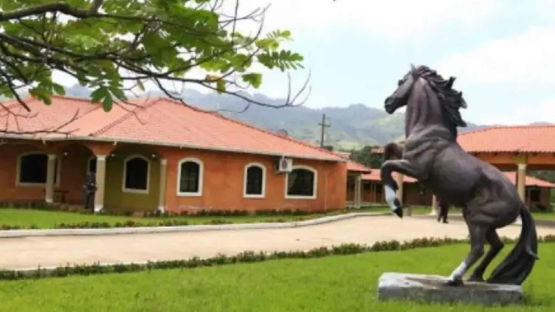 Yosary Yasmín cártel Valle Valle (1)