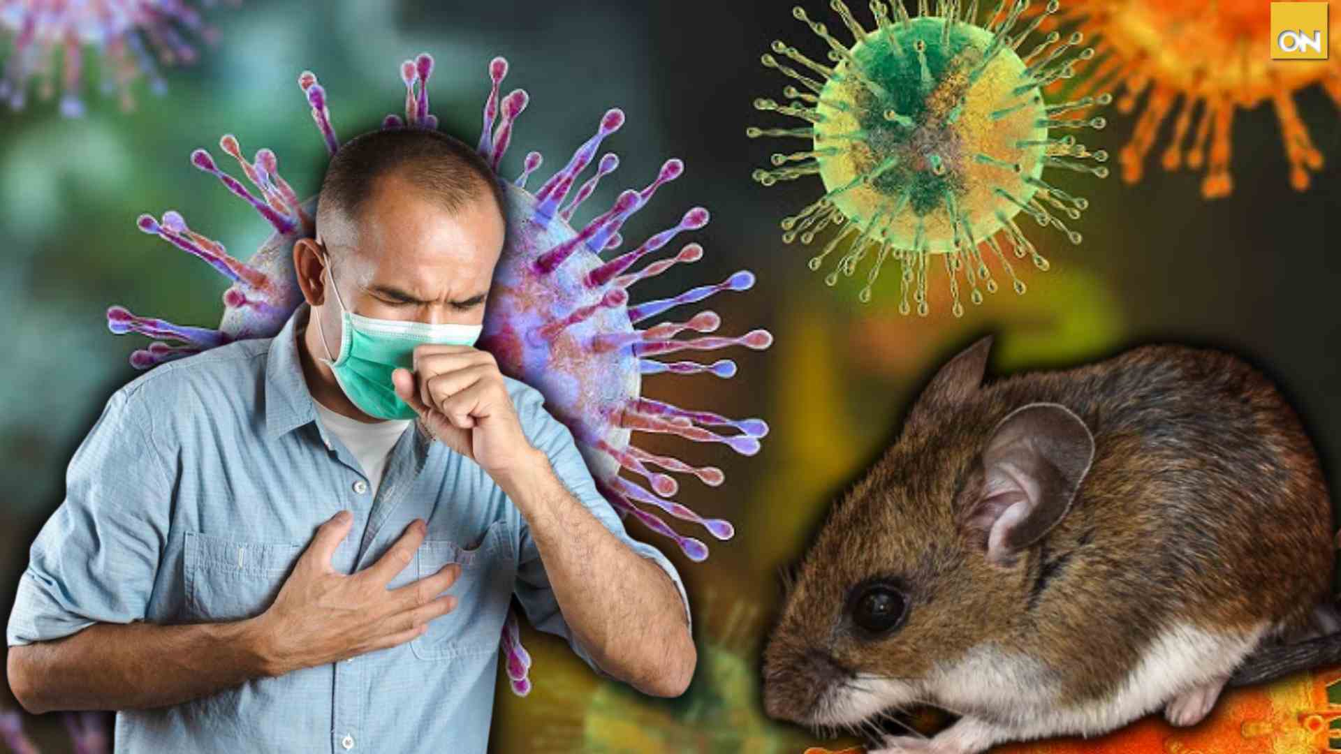 hantavirus en crucero