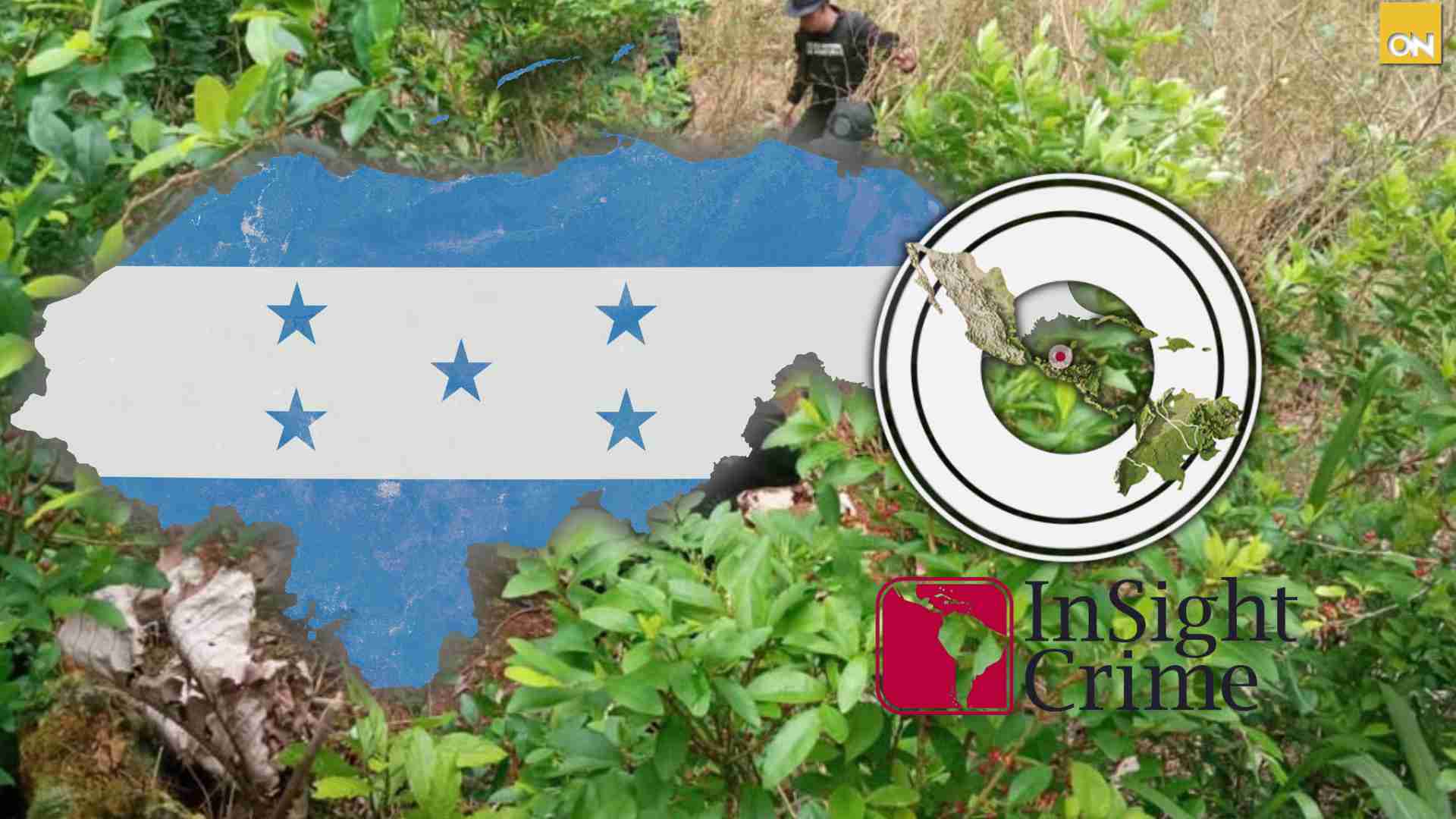 informe Insight Crime Honduras