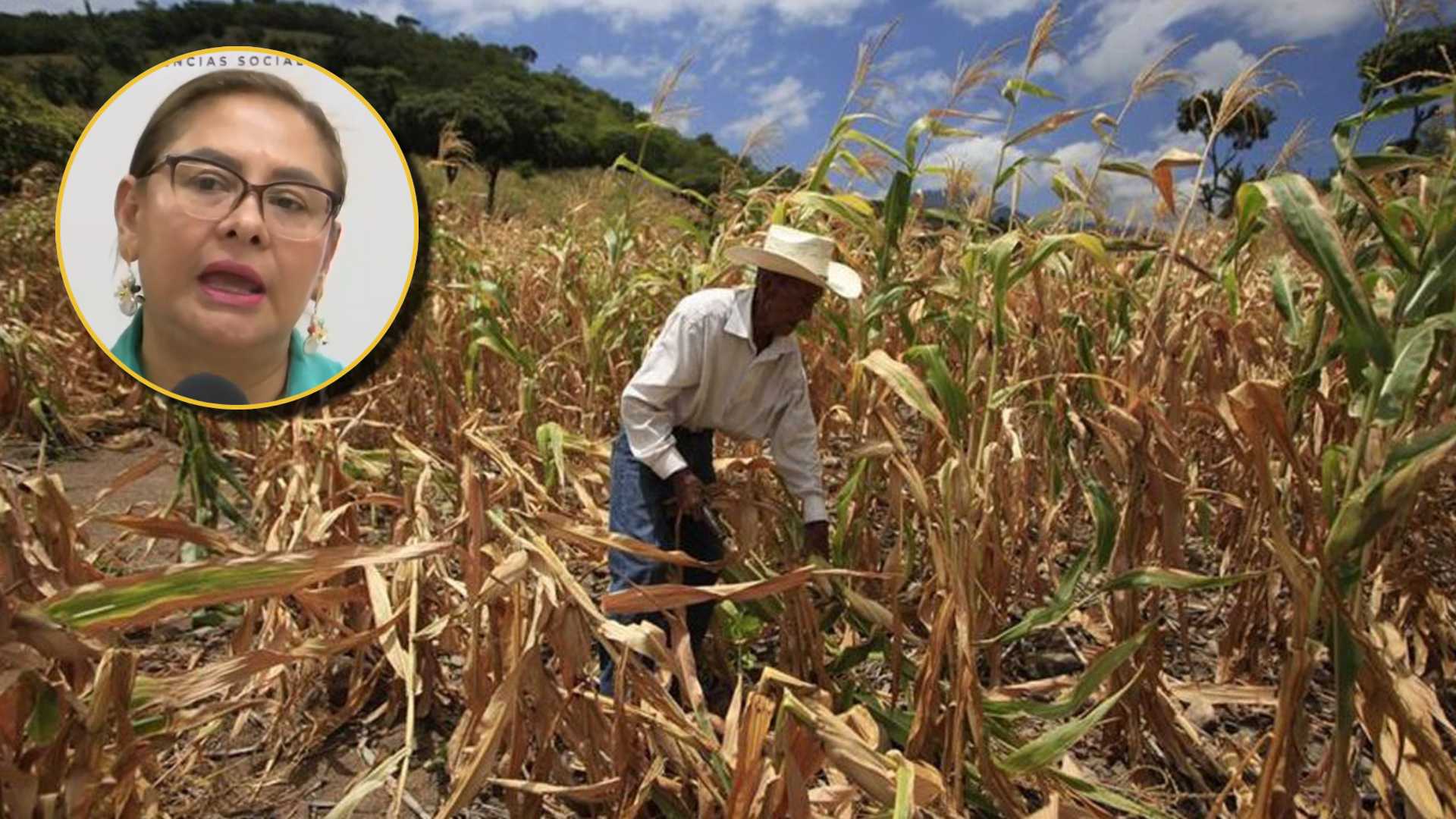 Pobladores en riesgo por inseguridad alimentaria en Honduras