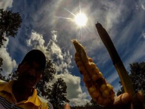 ¿Es peligroso? El Sol “desaparece la sombra” en Honduras y activa alerta por radiación UV