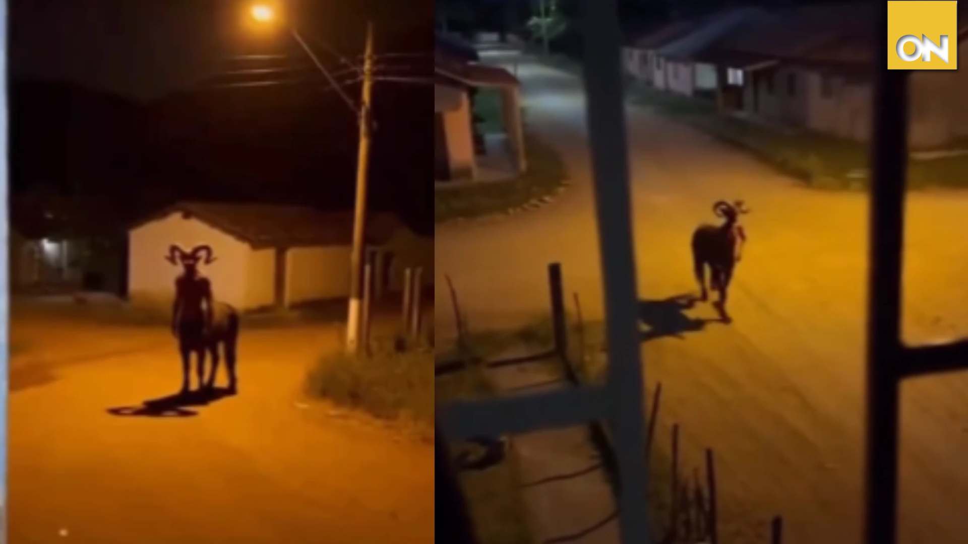mitad hombre mitad caballo video
