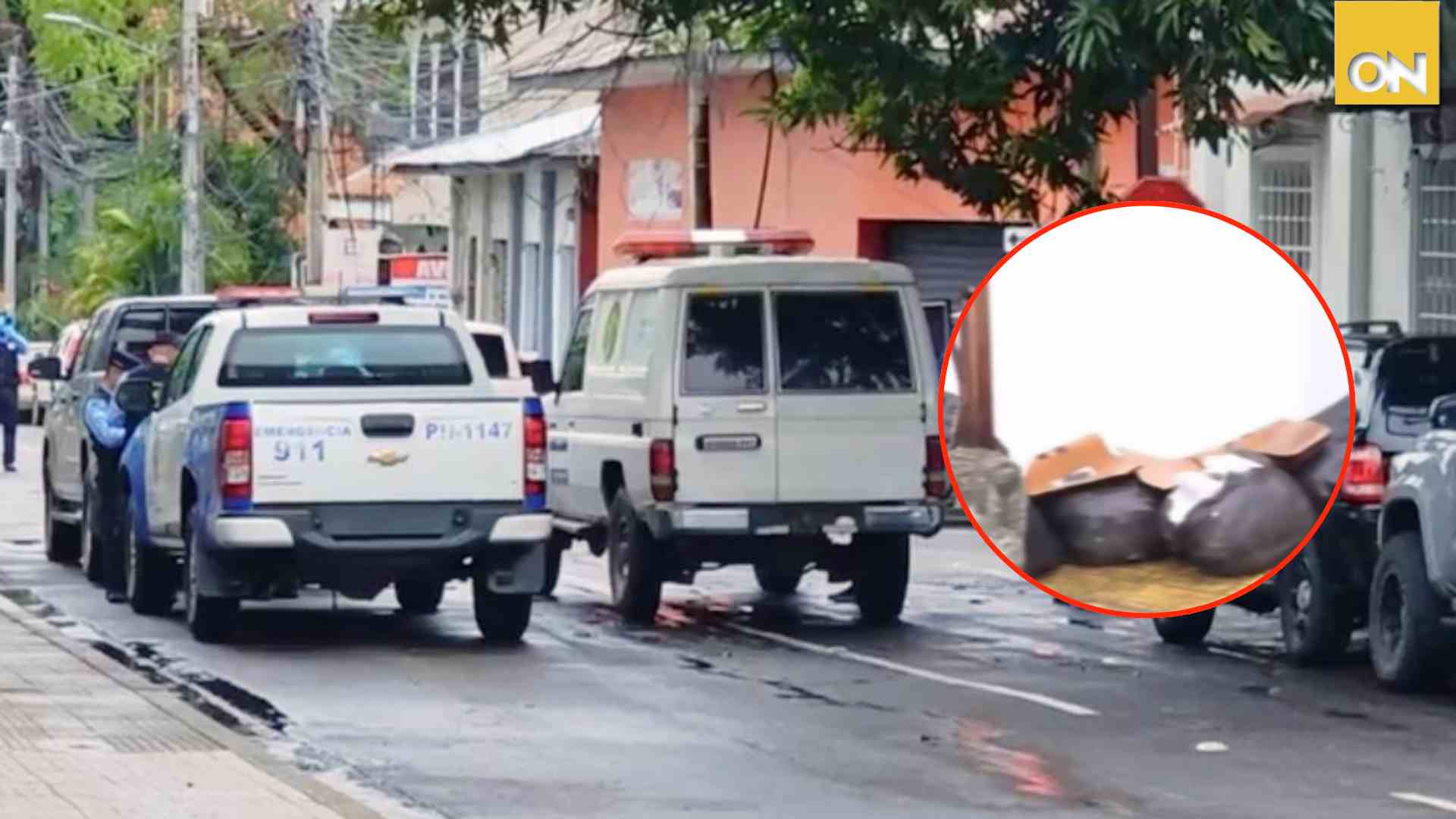 Hallazgo en barrio Guamilito