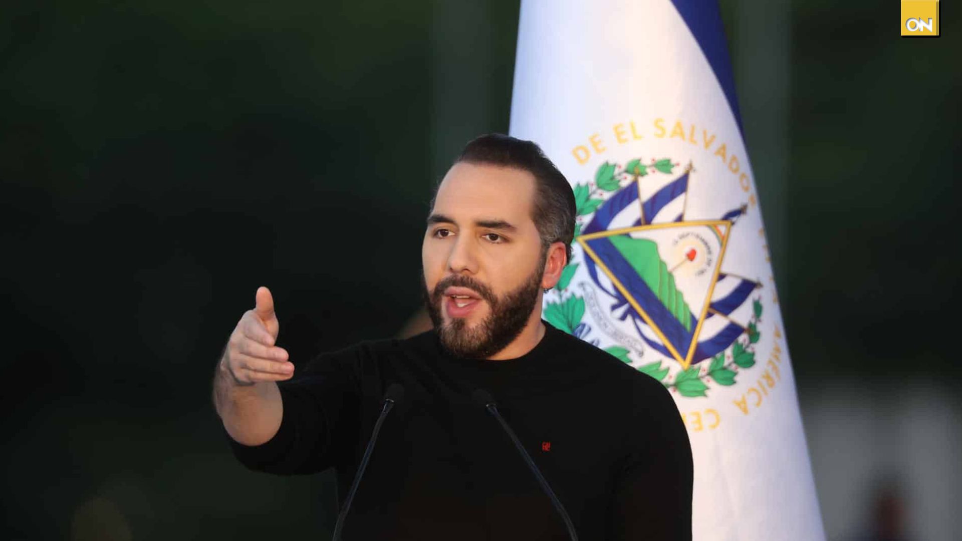 Presidente de El Salvador Nayib Bukele reposteó un reel de Elsa Oseguera en su Instagram