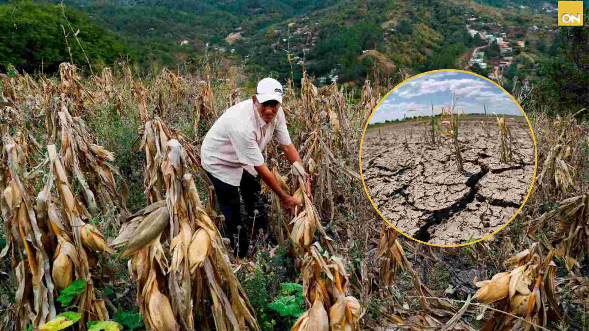 sequía en Honduras