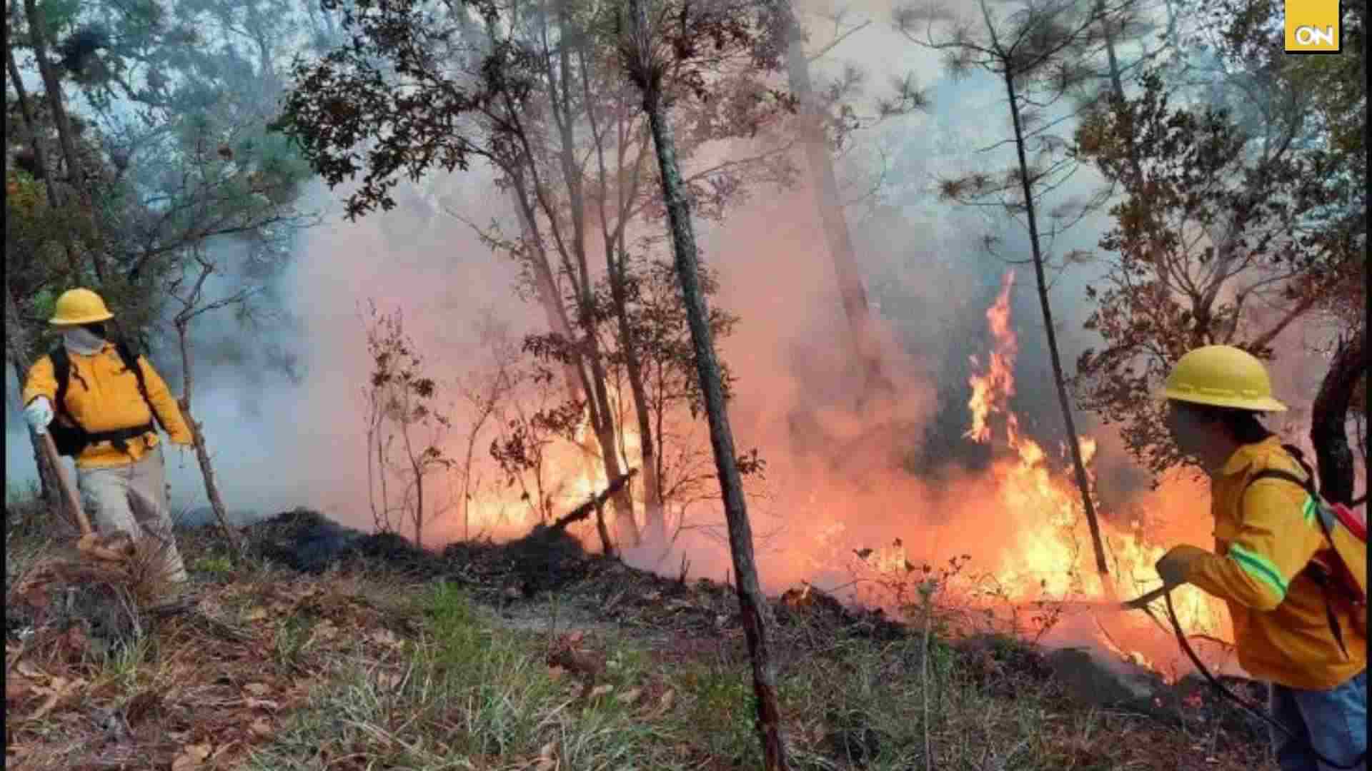 ¡Tres días de infierno! Cientos de hectáreas se reducen a cenizas en Celaque, Lempira
