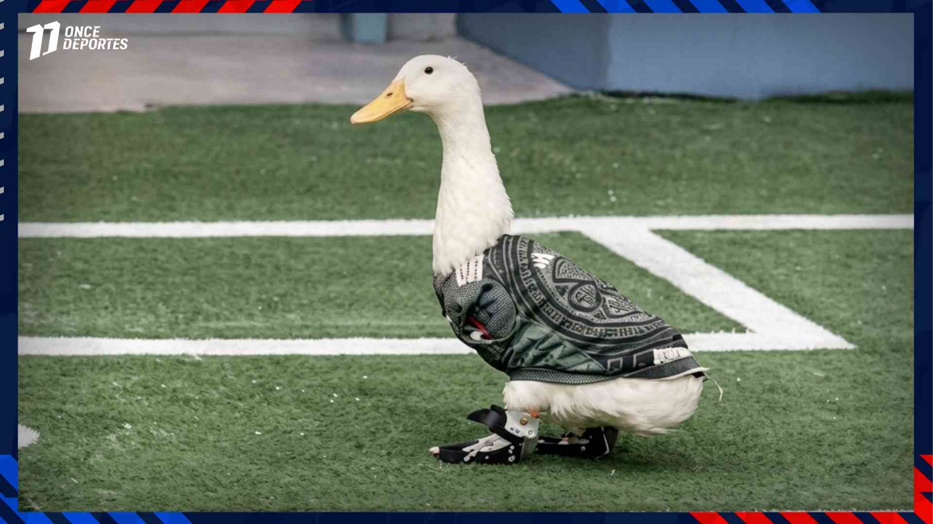 Pato Viral Programa Deportivo