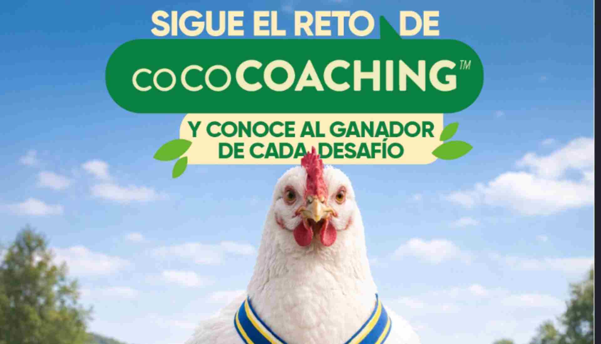 campamento cococoaching