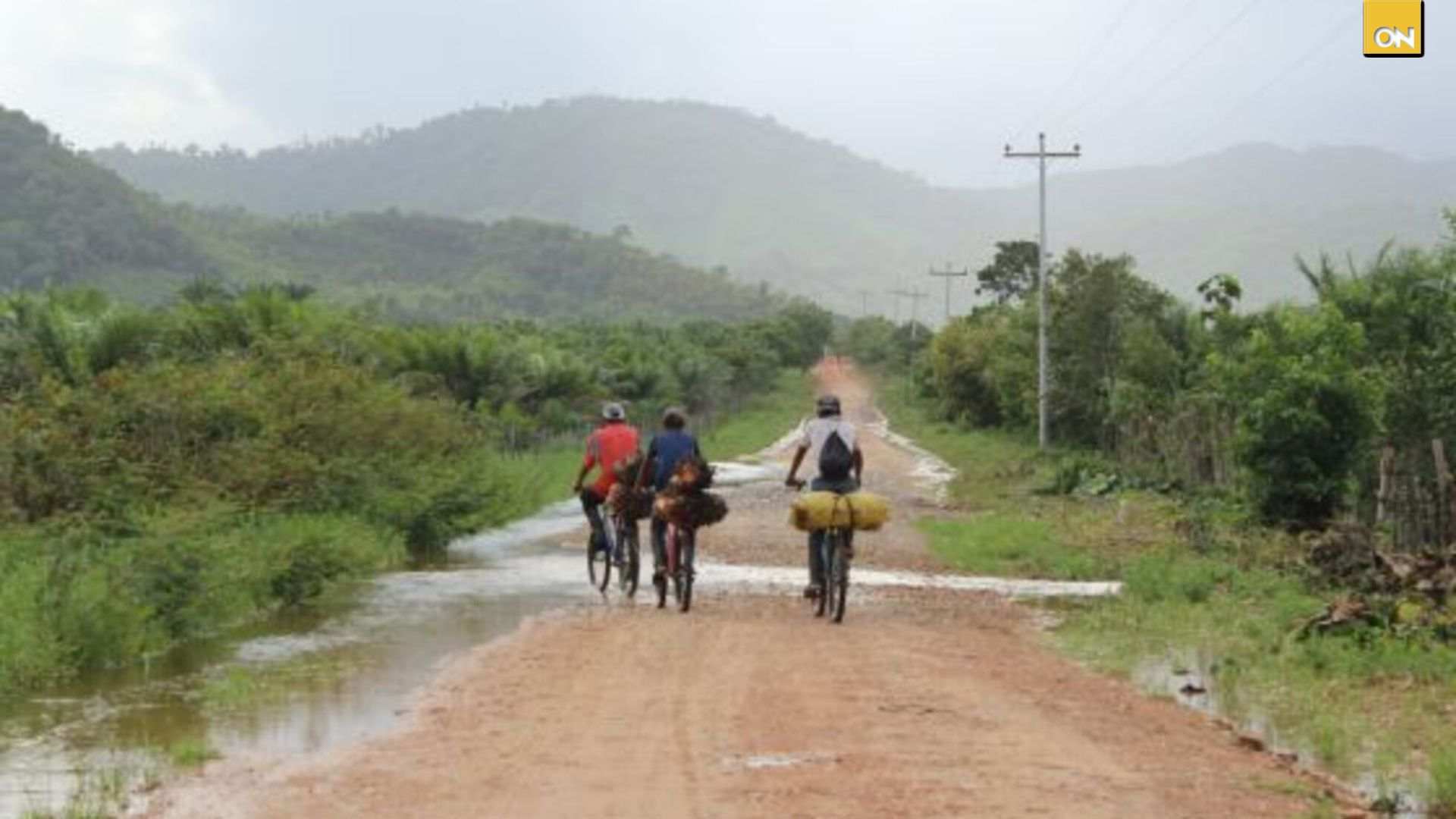 Invasiones de tierras generan pérdidas millonarias