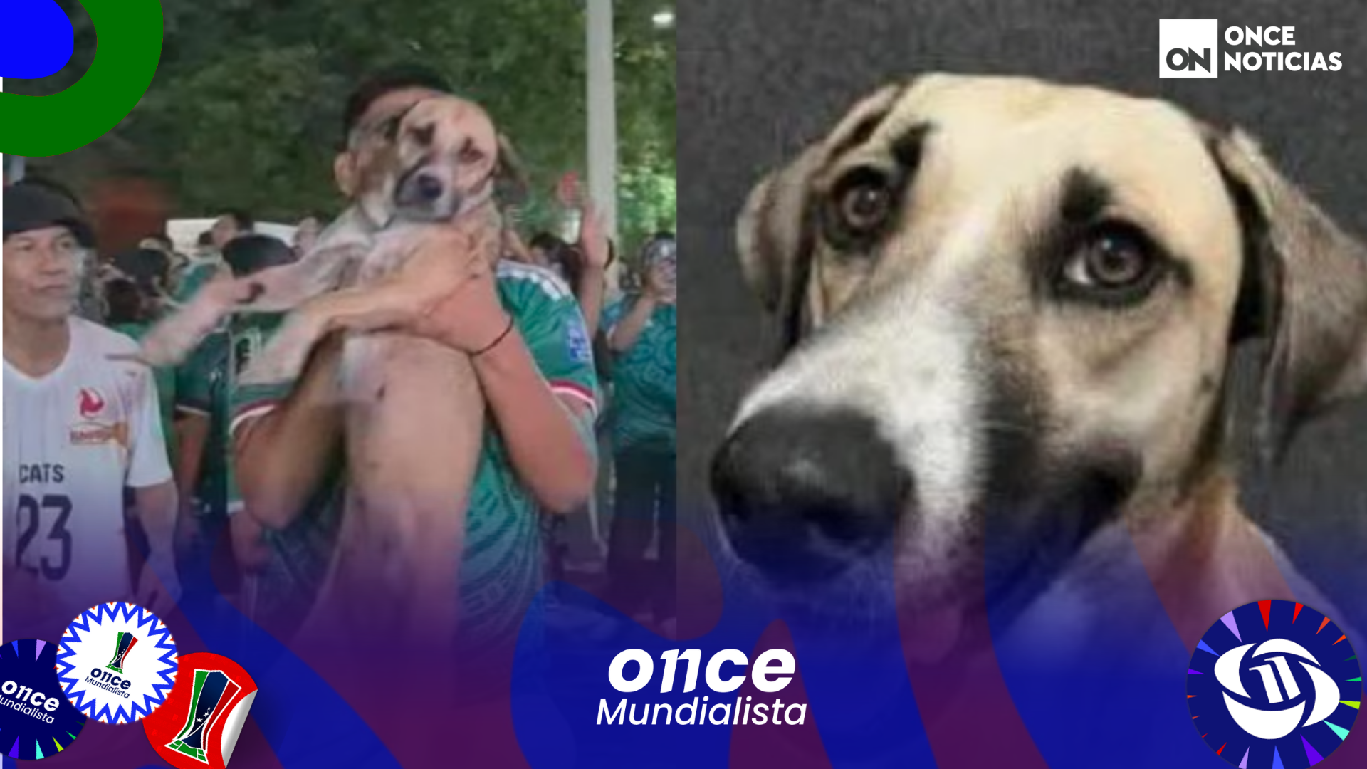 Encuentran a perrita perdida en vivo durante festejos del Mundial 2026