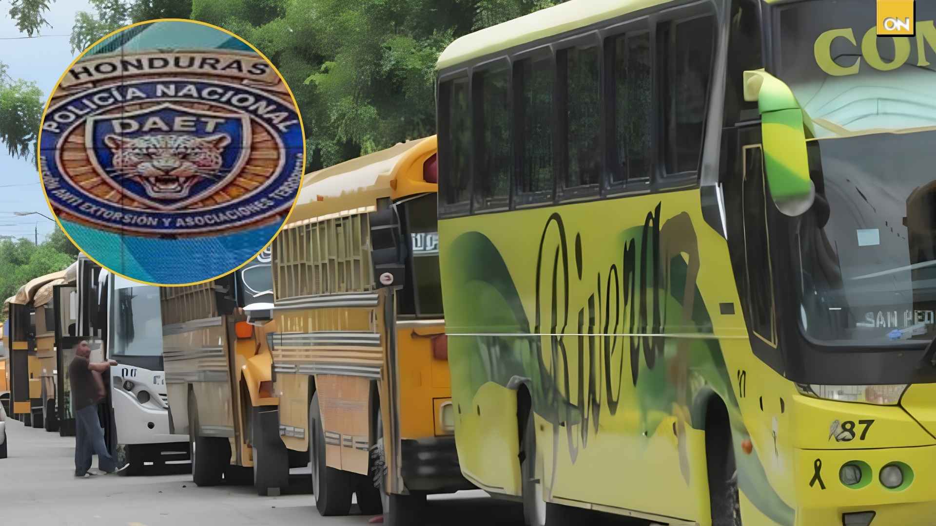 DAET impulsa censo obligatorio de transportistas en Honduras razones y objetivos detrás de la medida
