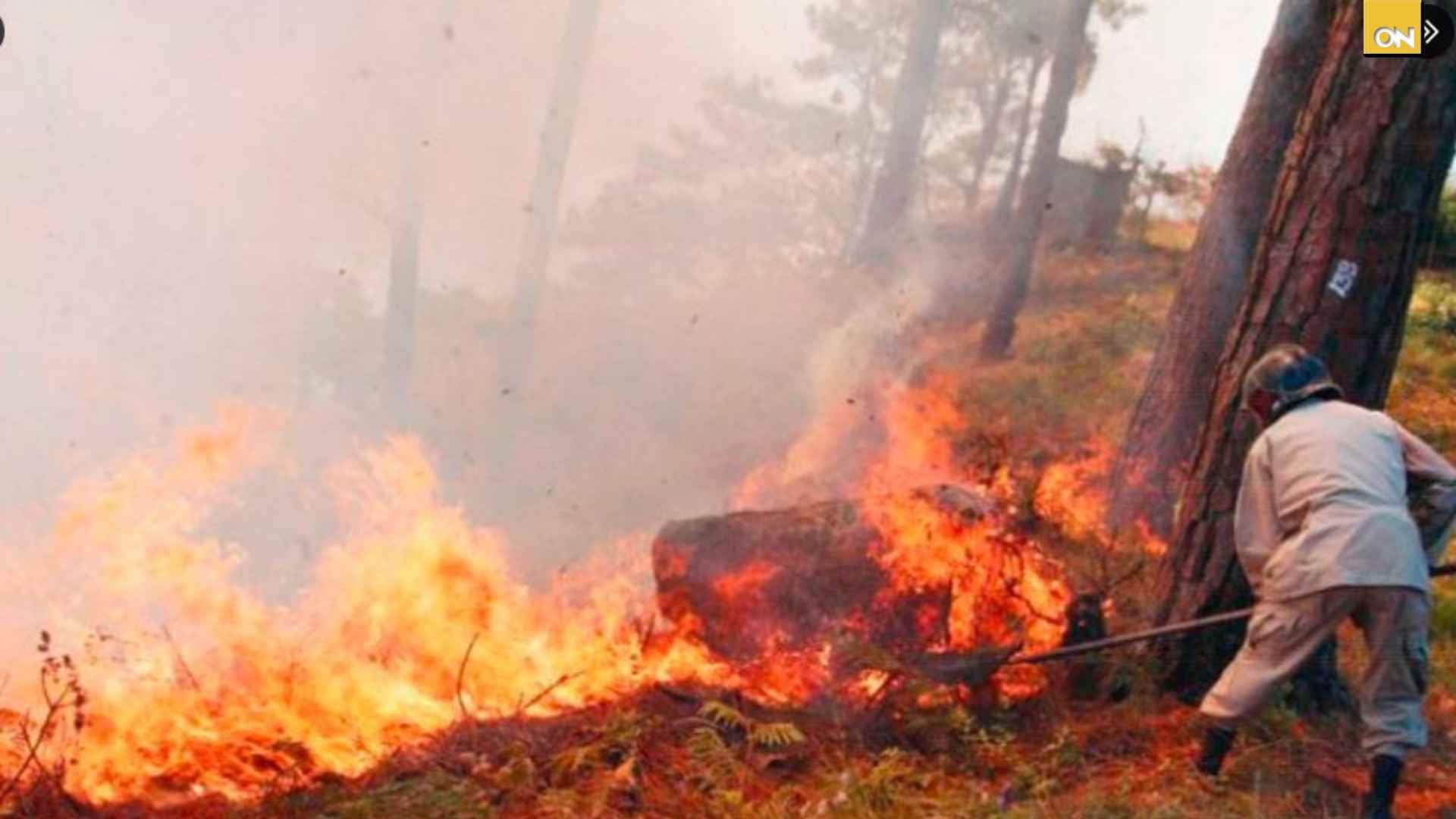 ICF reporta la pérdida de 535 hectáreas de bosque tras 27 incendios forestales en Olanchito, Yoro