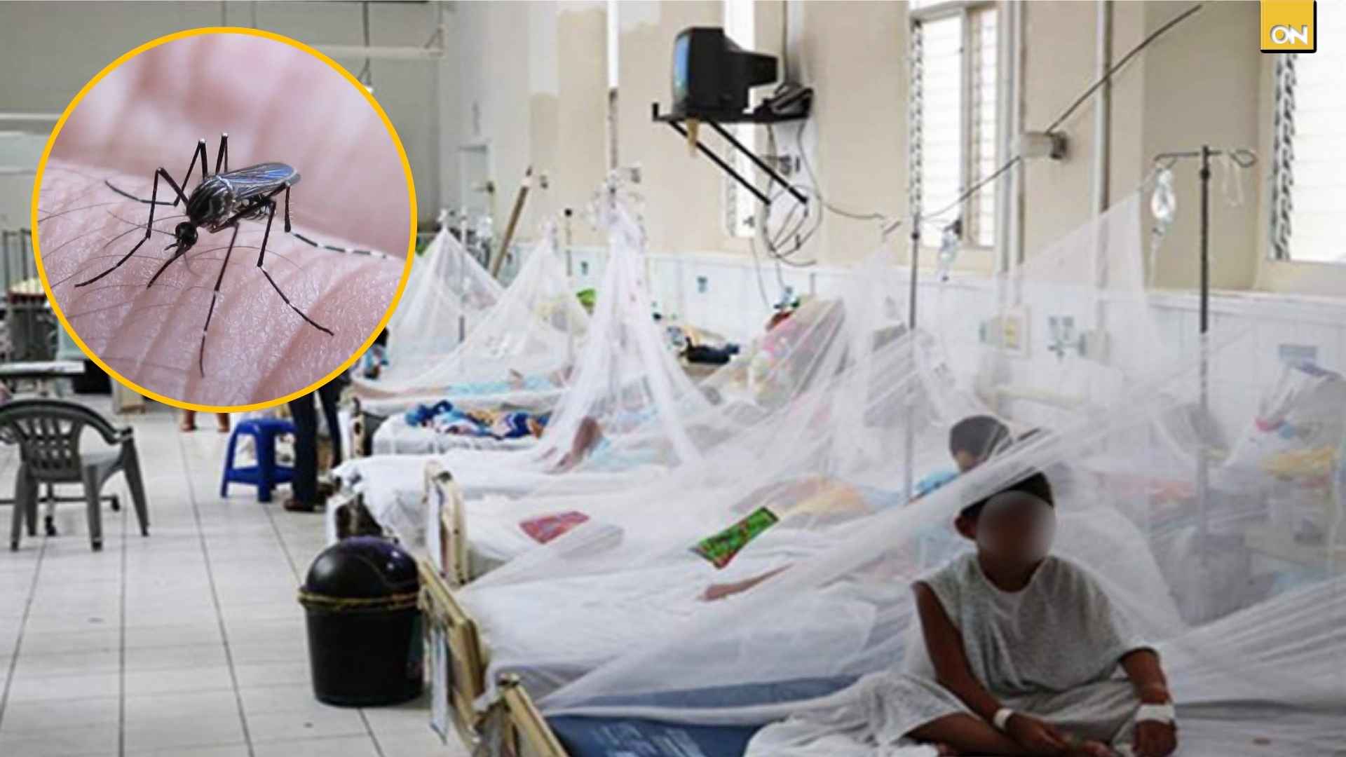 Más de 3,000 casos de dengue generan alerta sanitaria en Honduras ¿Cuáles son las regiones más afectadas