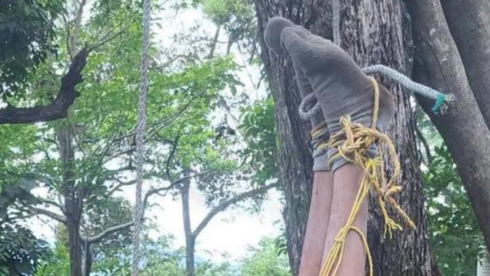 Amarrado dejan a supuesto roba gallinas en Ocotepeque