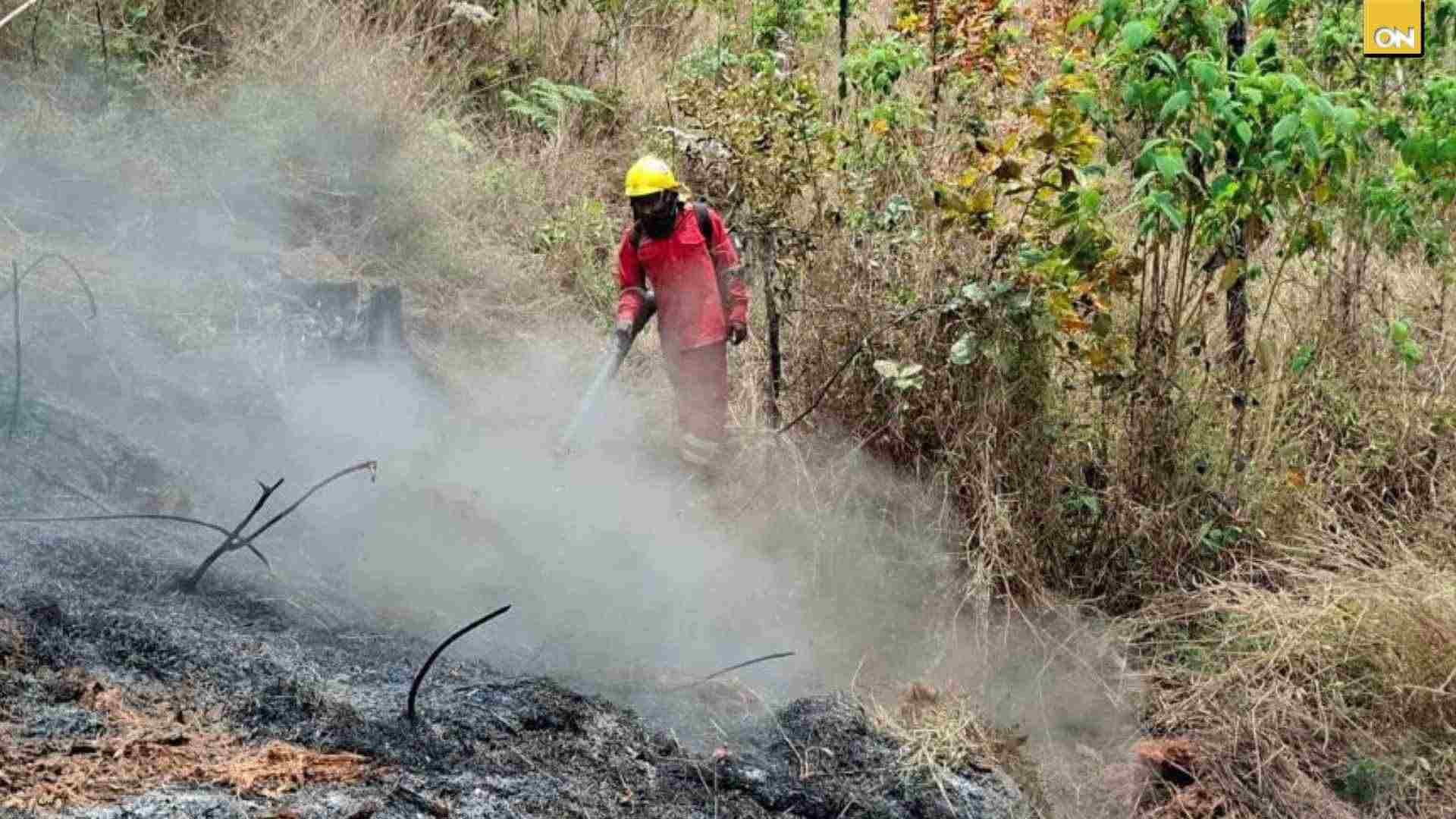 Se eleva a 65 mil hectáreas de bosque quemado en lo que va del año en Honduras, según el ICF