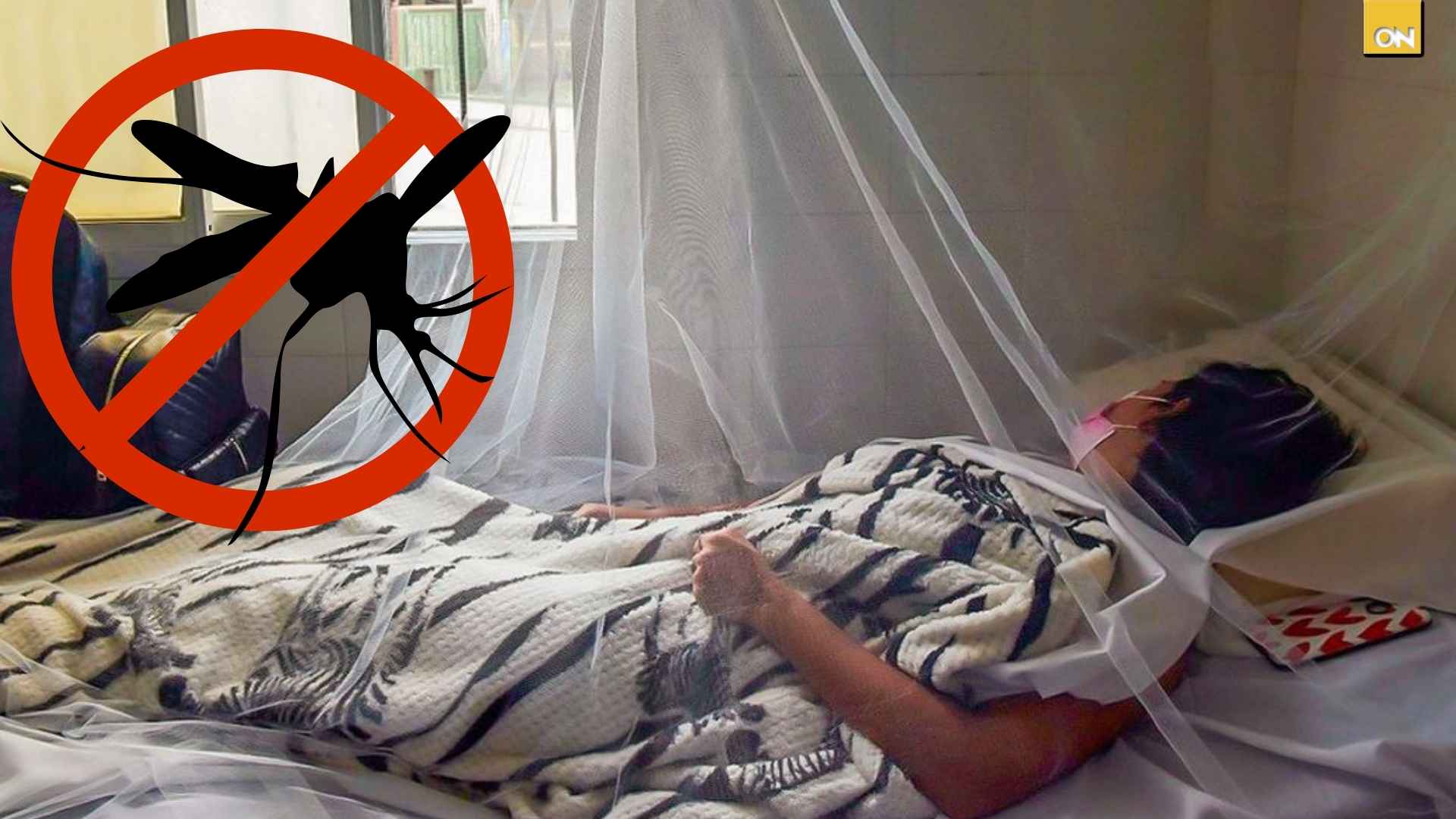 Una joven fallece por sospechas de dengue en Catacamas, Olancho