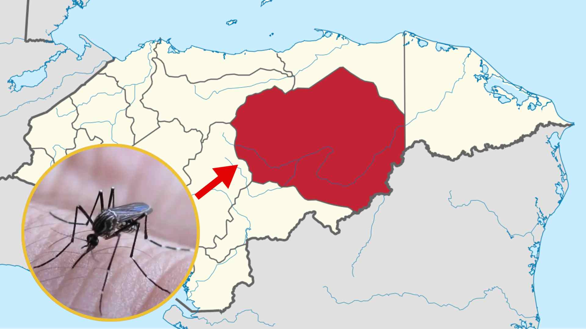 Declaran epidemia de dengue en dos municipios de Olancho por aumento de contagios