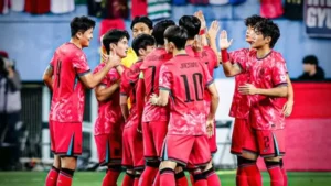 Recibimiento Corea Del Sur 