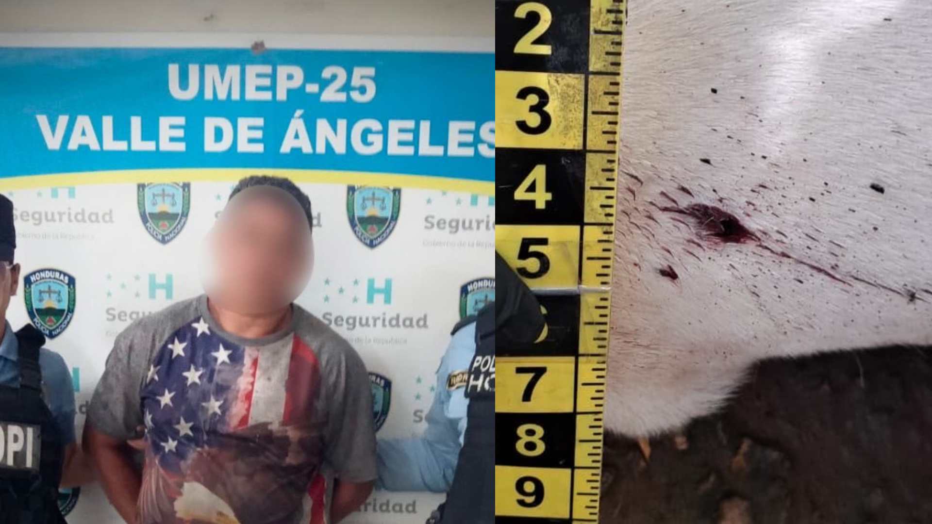 Cae hombre por disparar a perro de vecina en Valle de Ángeles
