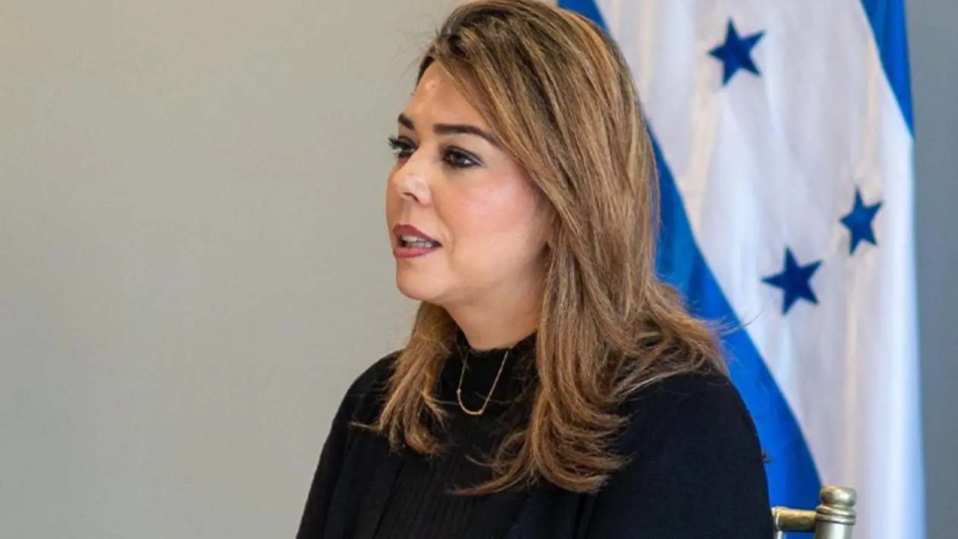 Designada María Antonieta Mejía habla de la ENEE en Honduras