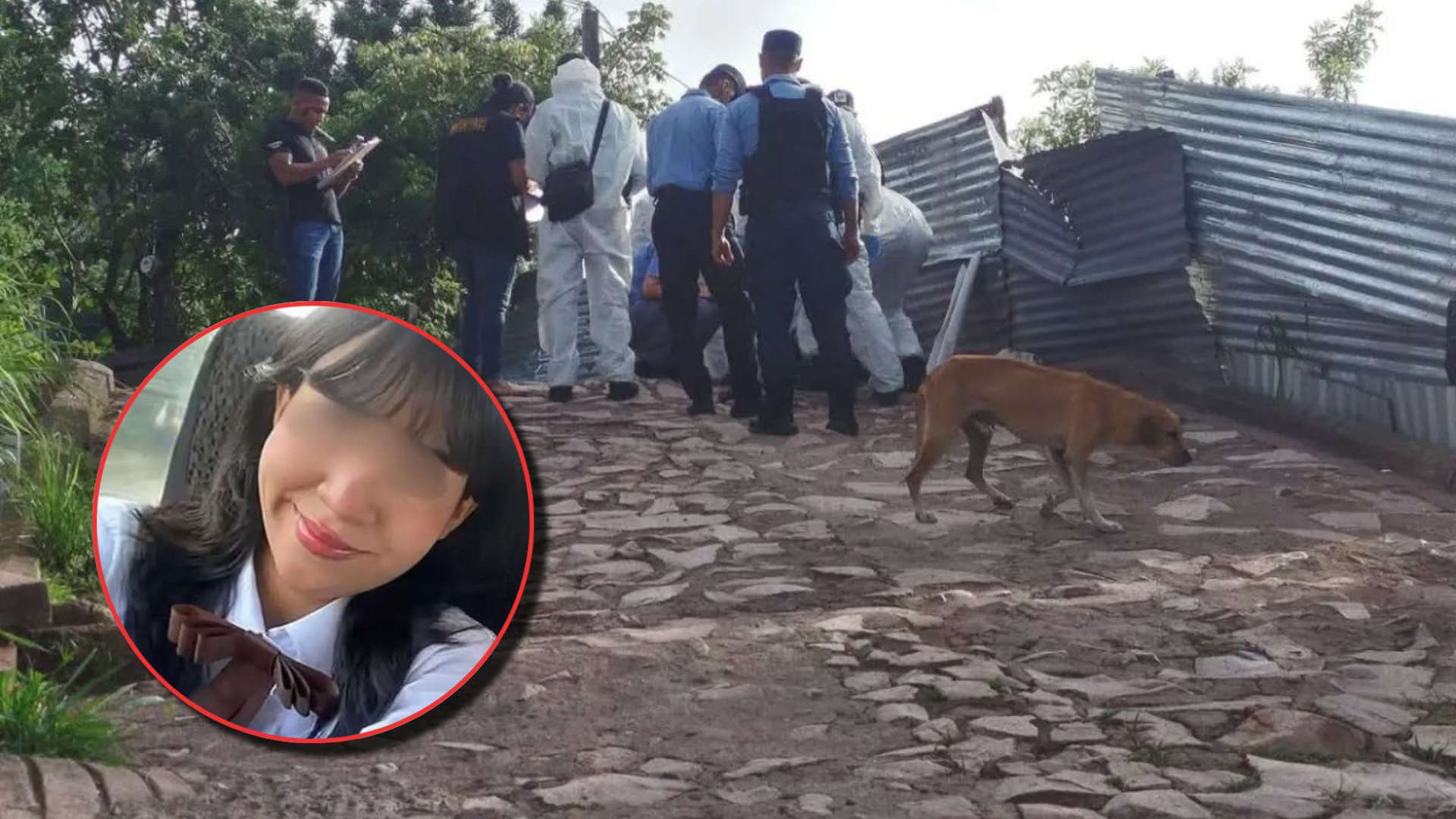 Hipótesis de brutal crimen de Michelle Argueta en Los Pinos