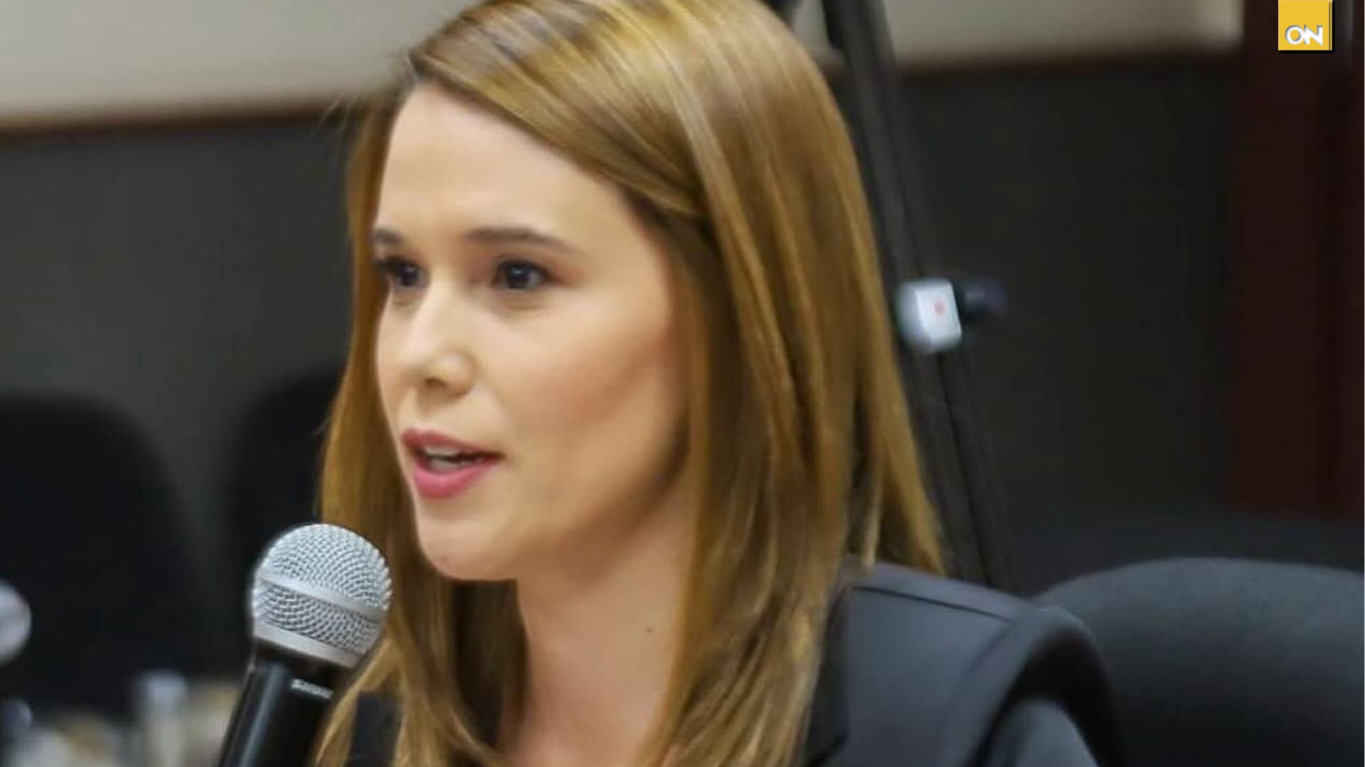 Aixa Gabriela Zelaya Gómez fue nombrada como integrante del Consejo Nacional Electoral (CNE)