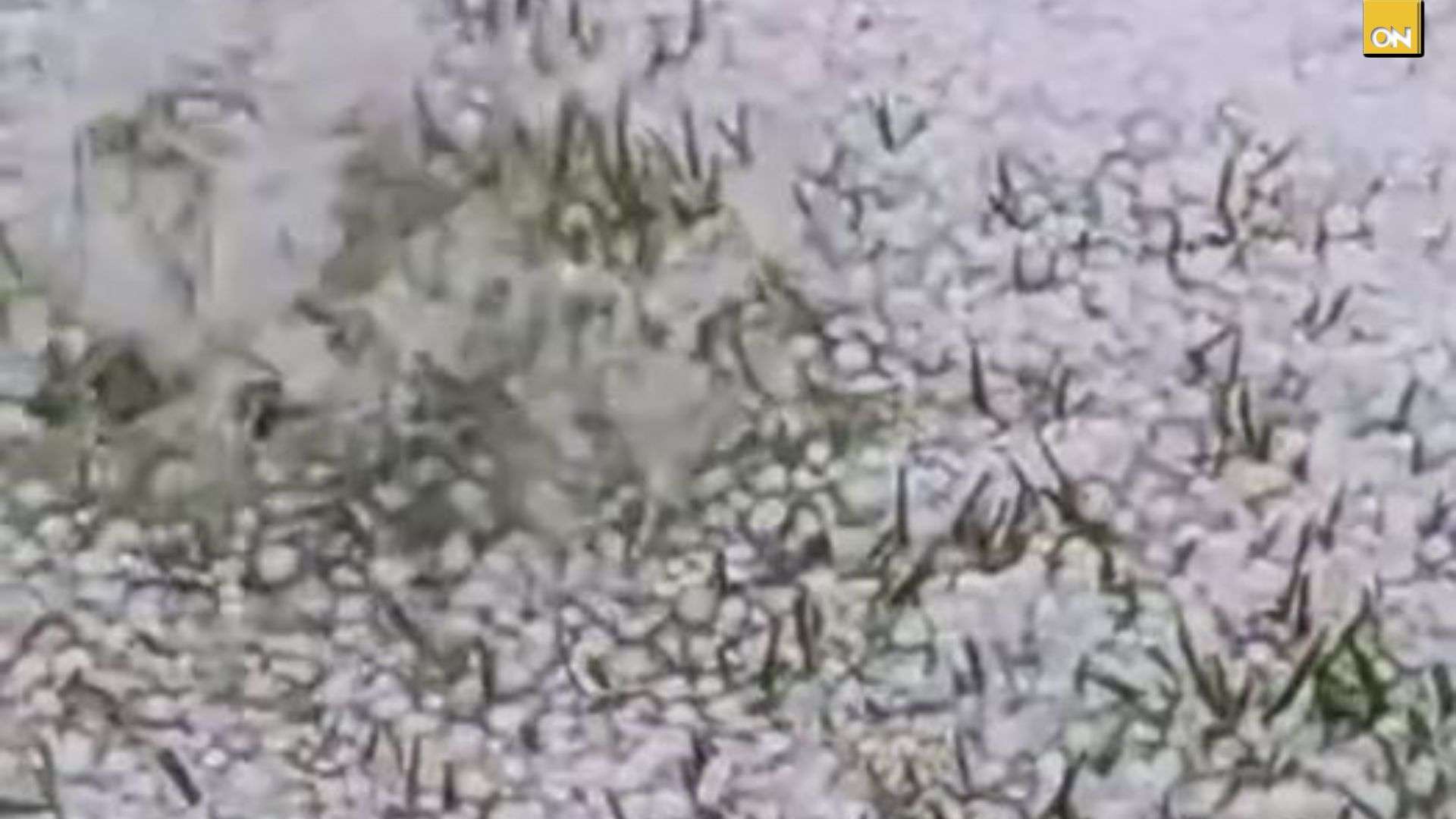 Lluvia con granizo sorprende a habitantes de Azacualpa en Sensenti Ocotepeque