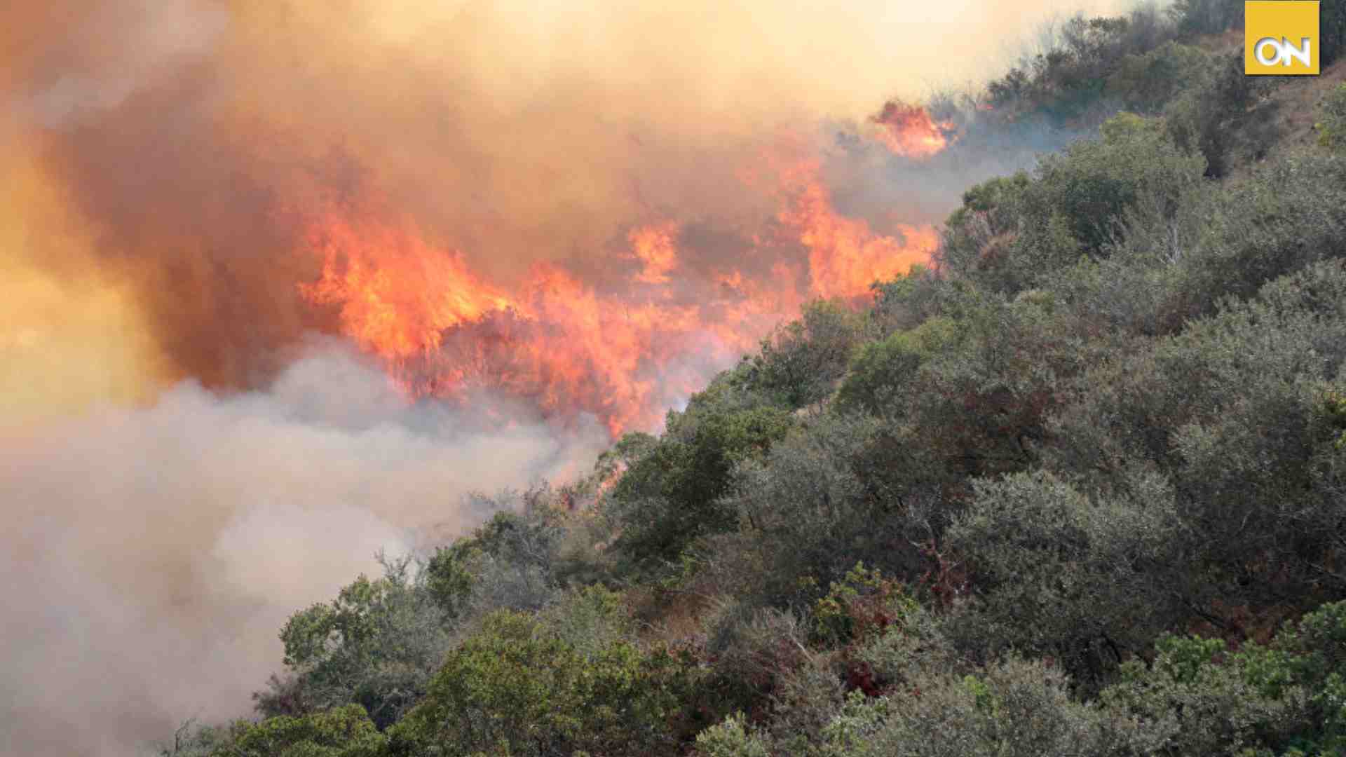 108 mil hectáreas afectadas