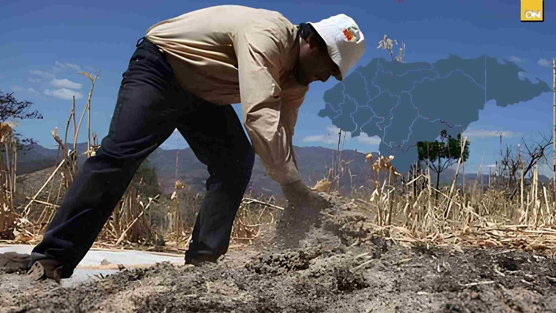 Copeco eleva alerta amarilla por sequía en 75 municipios
