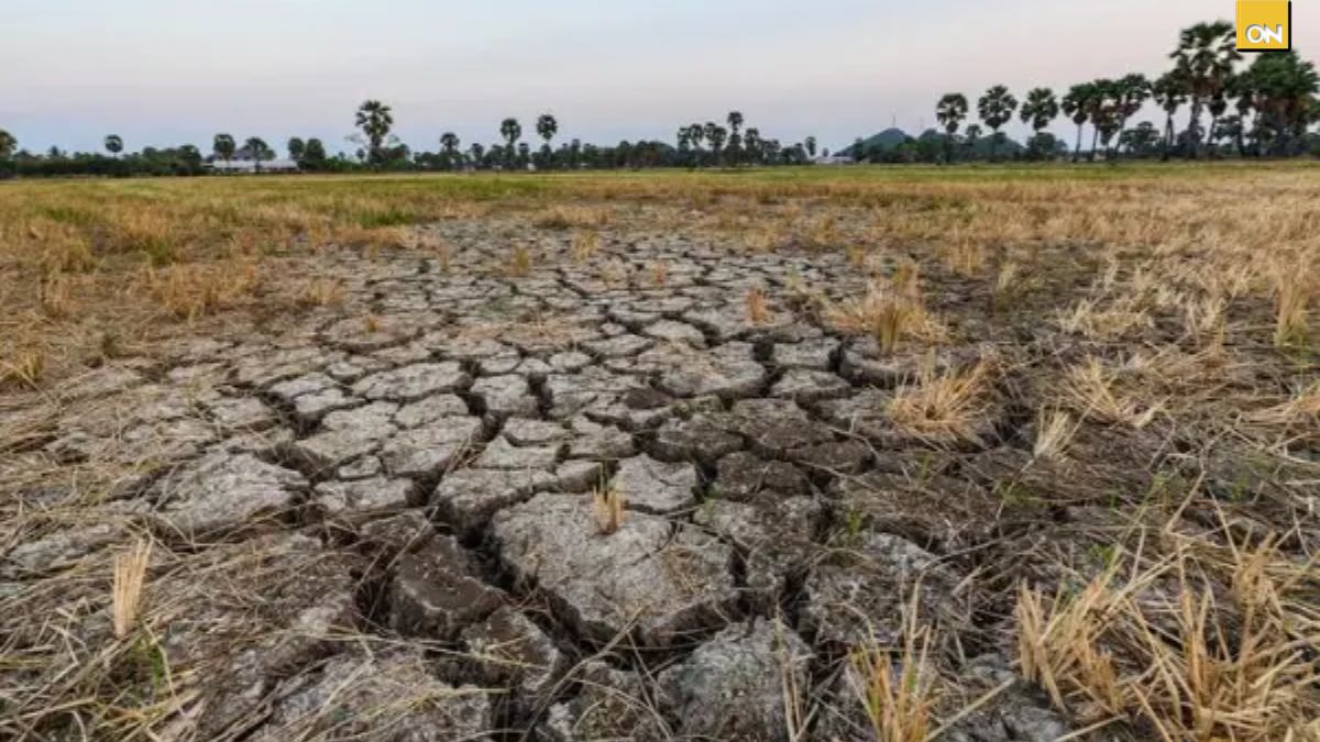 Estos son los municipios que COPECO mantiene bajo alerta por la sequía en Honduras